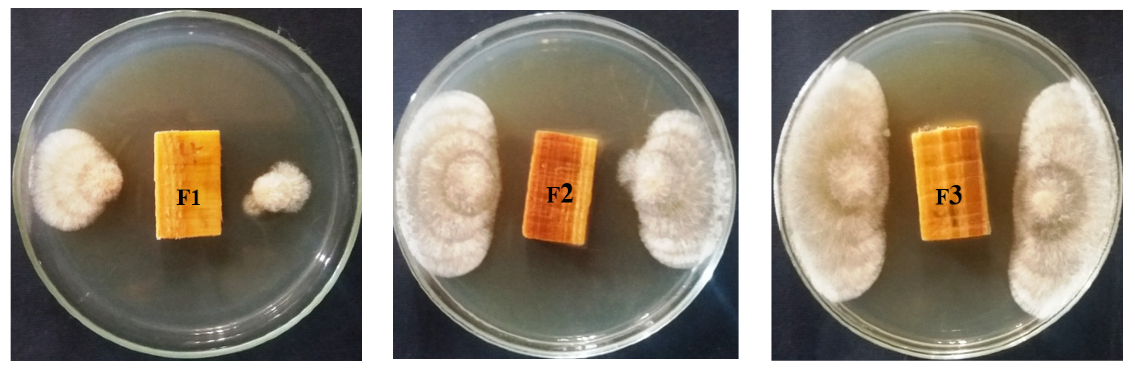 Processes 08 00330 g004b