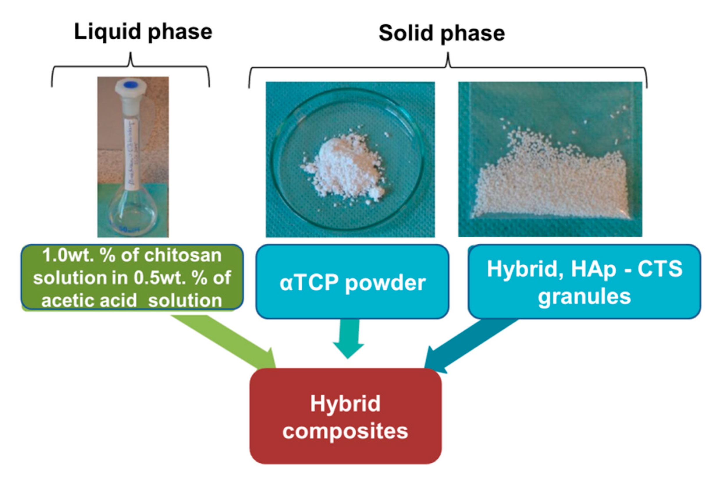 Processes 08 00335 g001