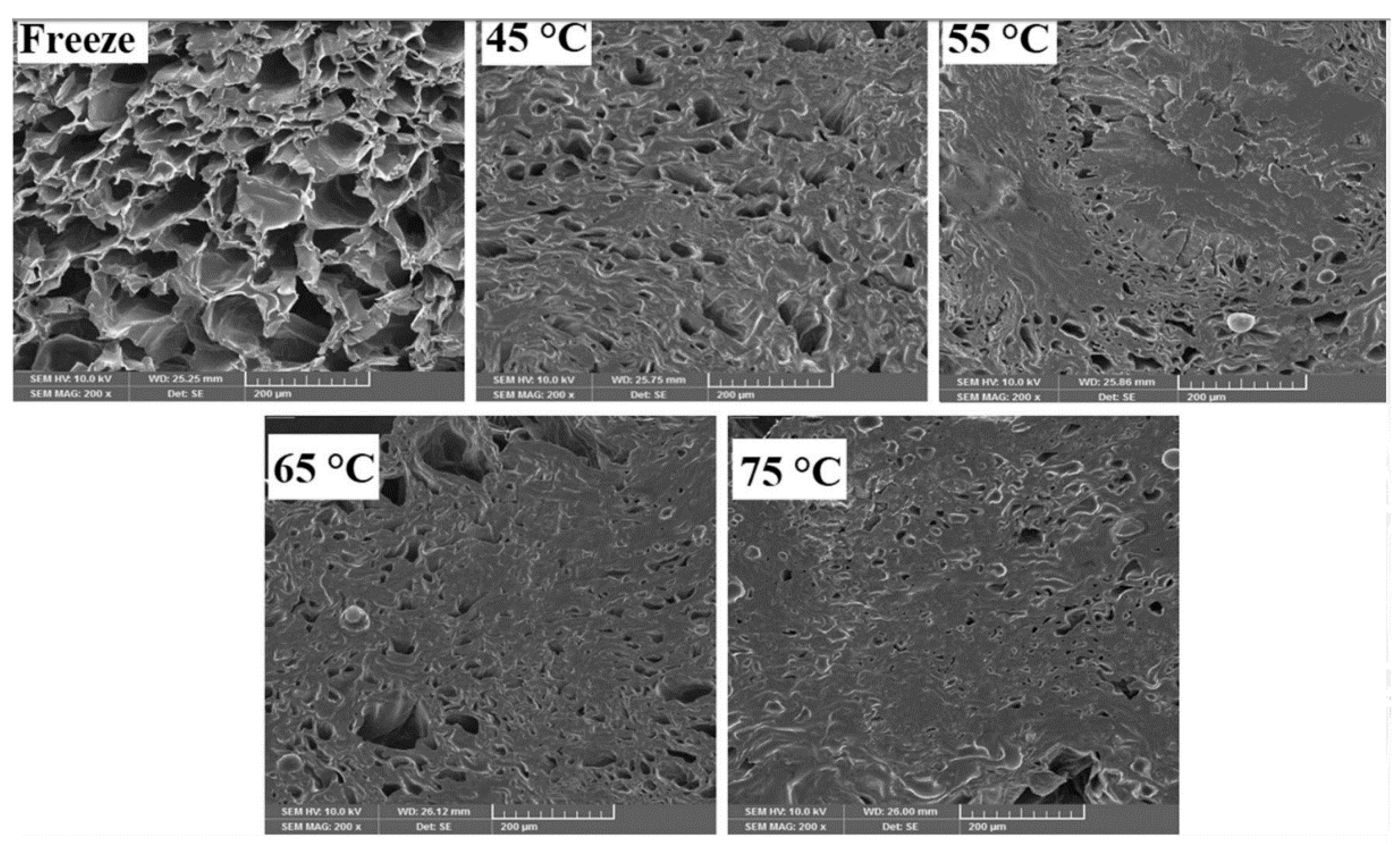 Drying After Effects Are Typically Avoided With Processes | Free Full-Text | Effect of Freeze-Drying on Quality and