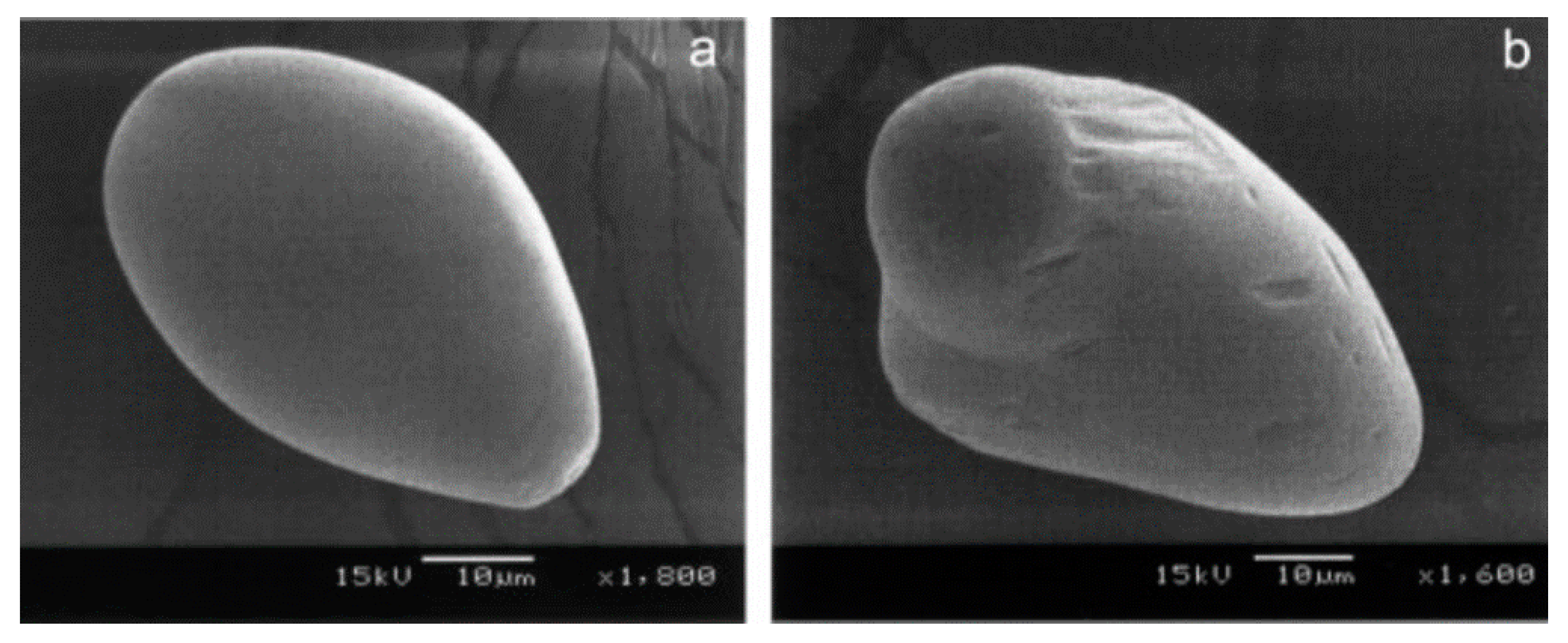 Processes 08 00354 g003 Processes 08 00354 g003