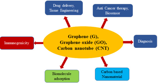 Current Use of Carbon-Based Materials for Biomedical Applications 