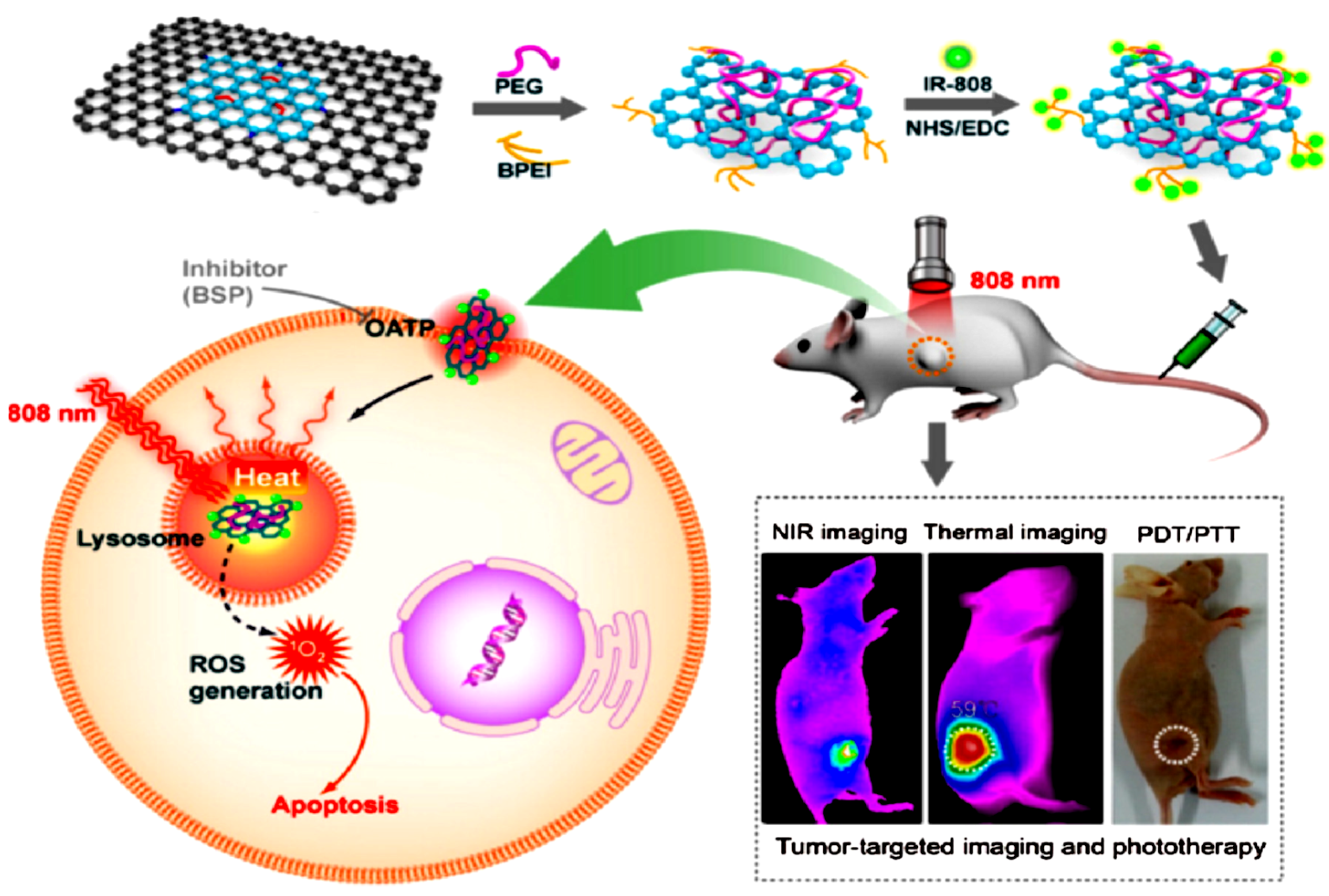 Processes 08 00355 g004 Processes 08 00355 g004