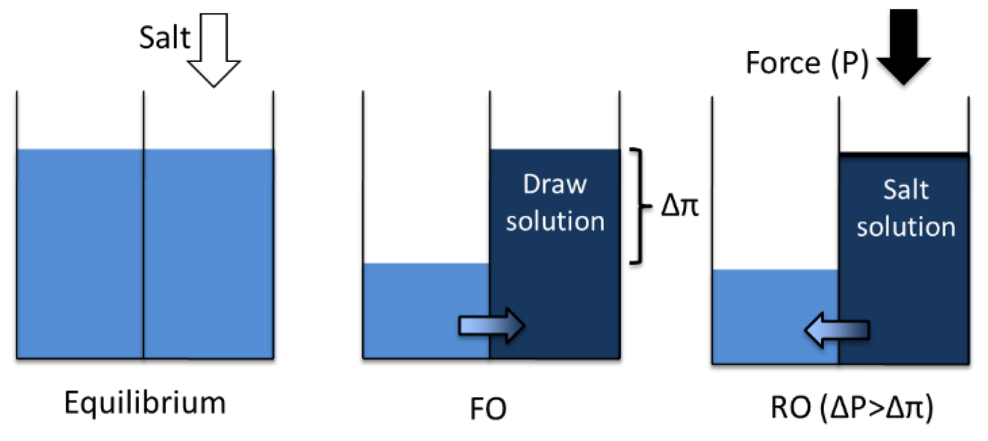 Solution Or Across A Semipermeable Membrane. Simple ...