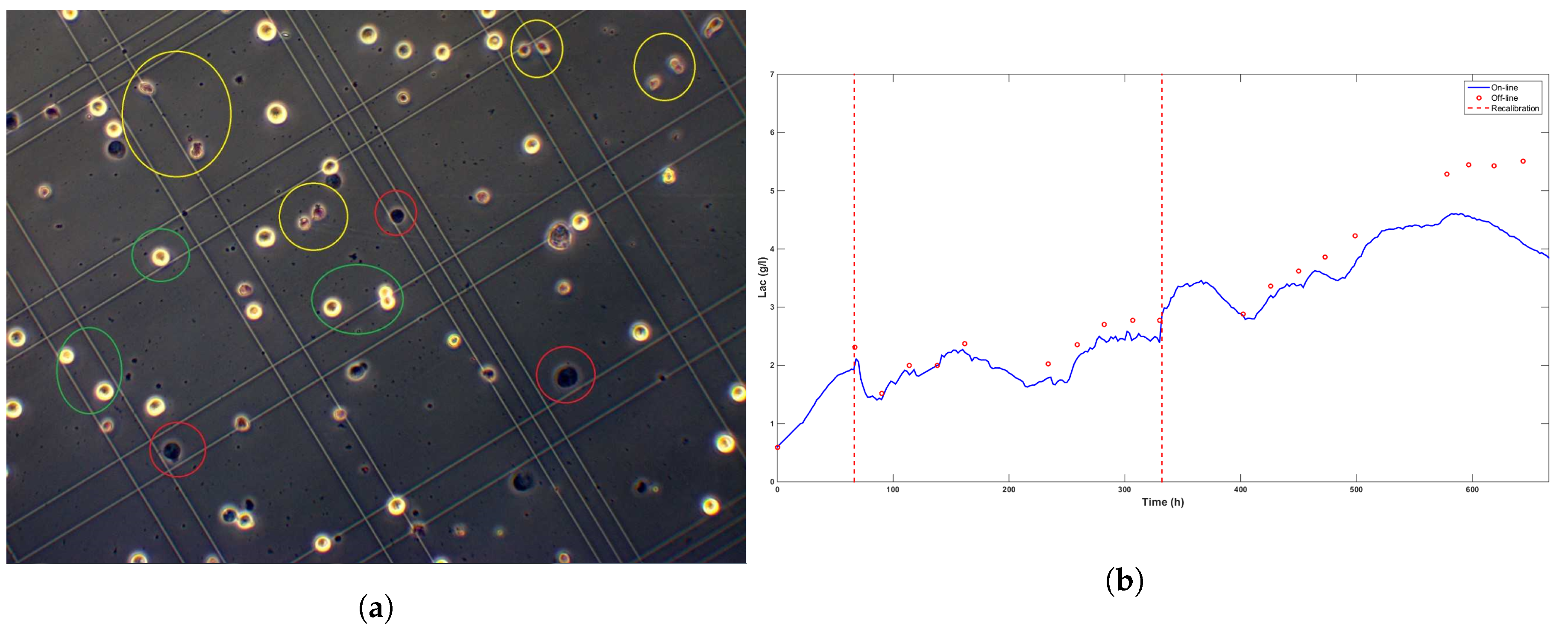 Processes 08 00413 g007 550