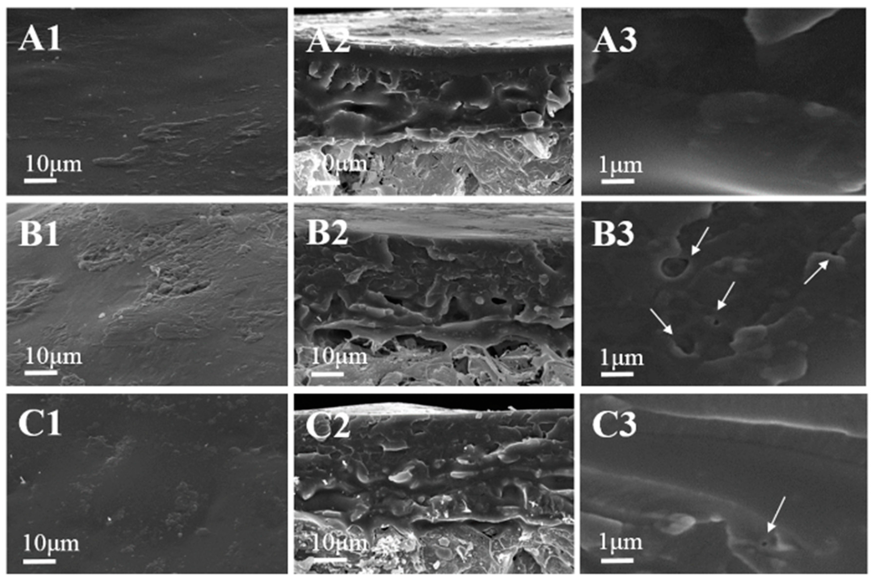 Processes 08 00417 g005