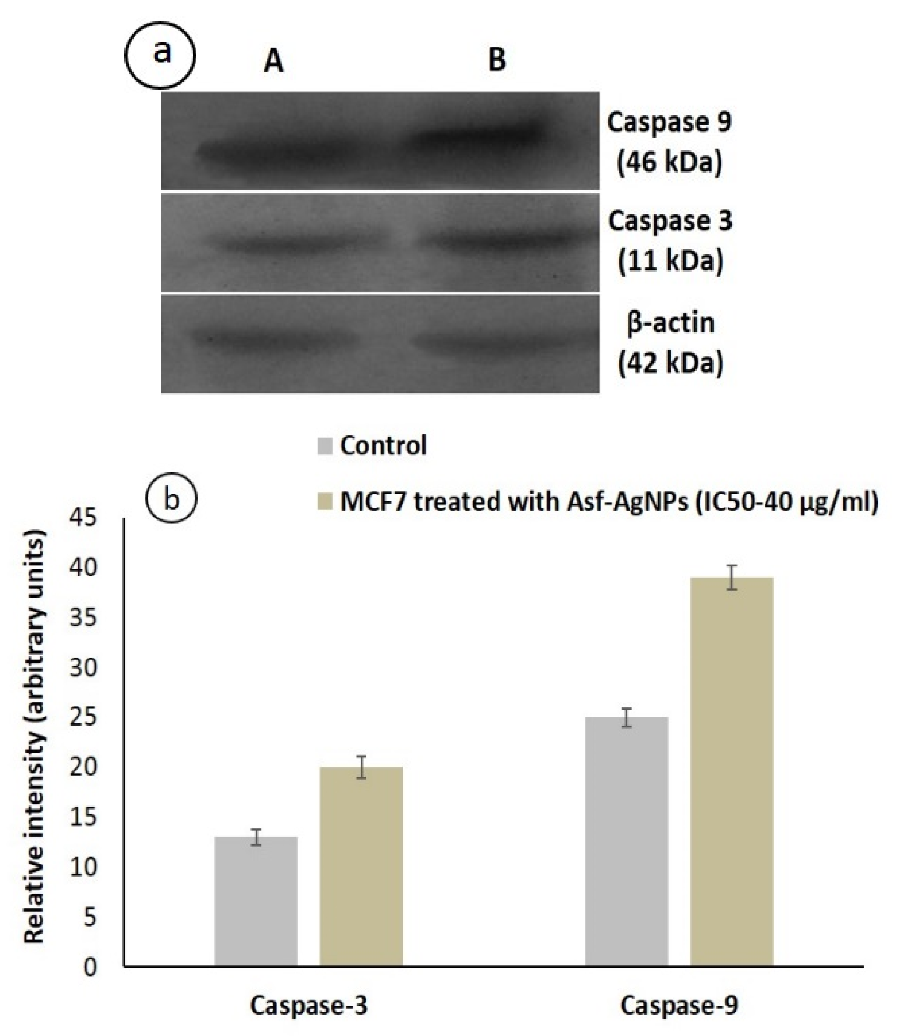 Processes 08 00430 g012 Processes 08 00430 g012