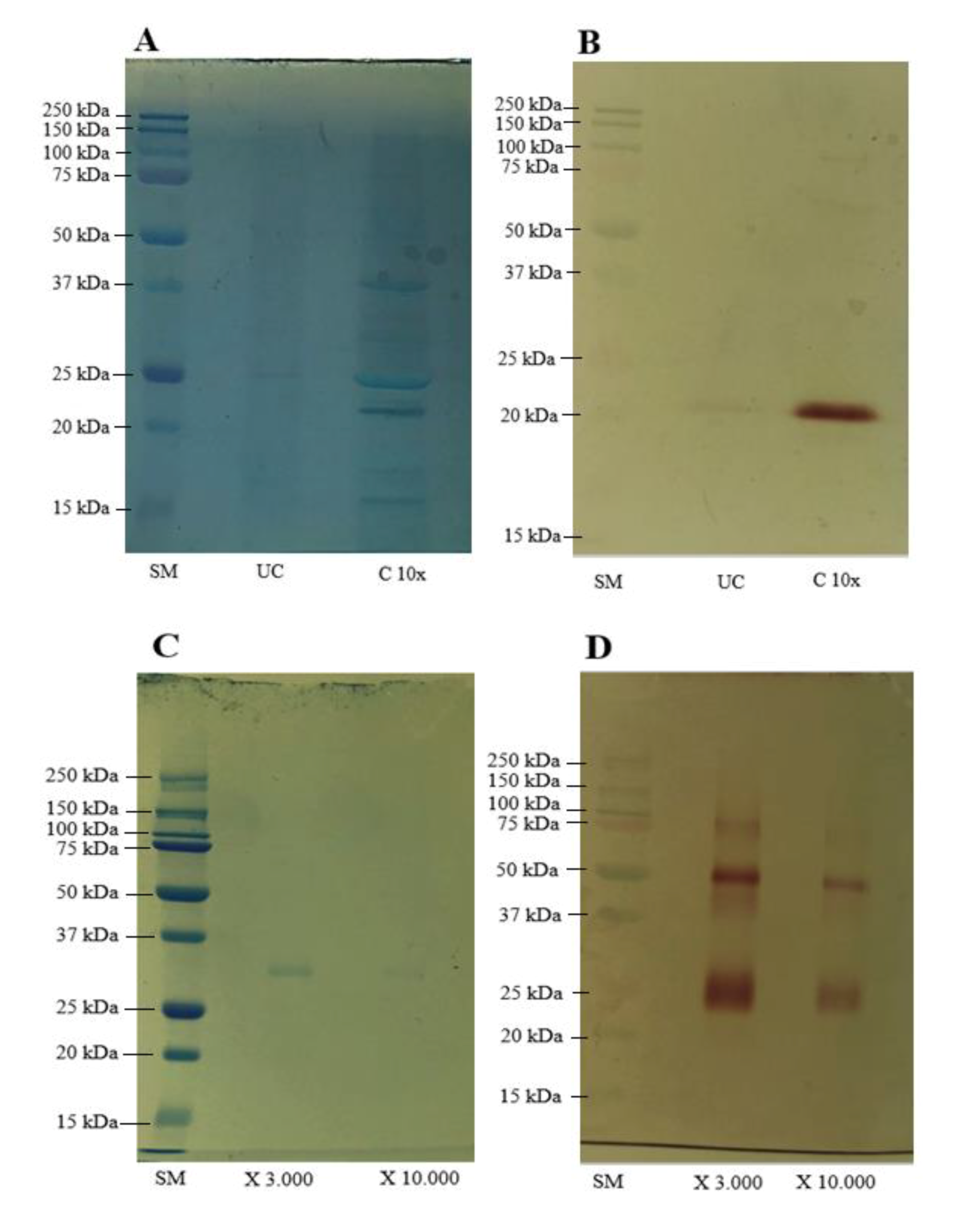 Processes 08 00450 g001