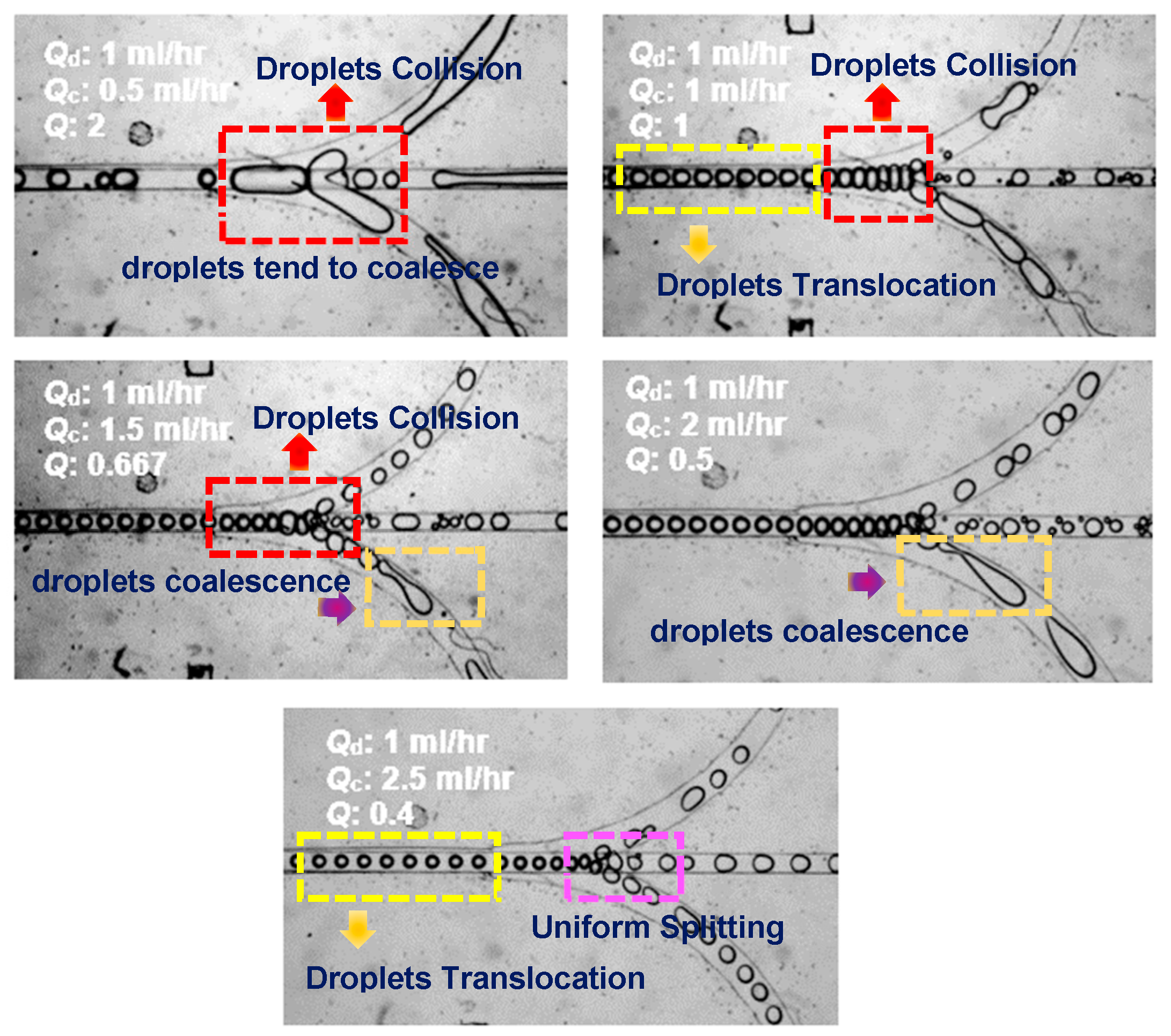 Processes 08 00510 g010