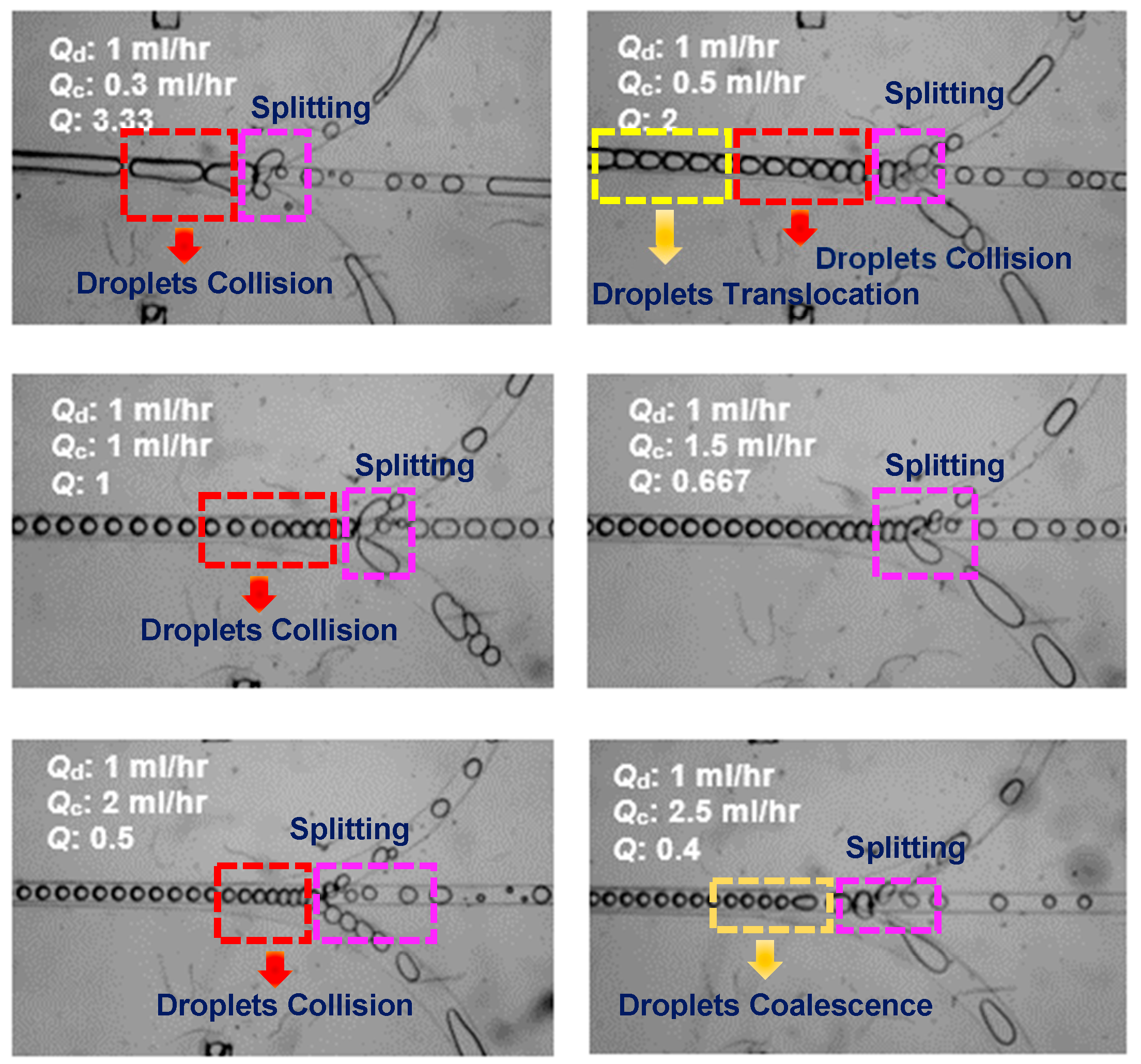 Processes 08 00510 g016