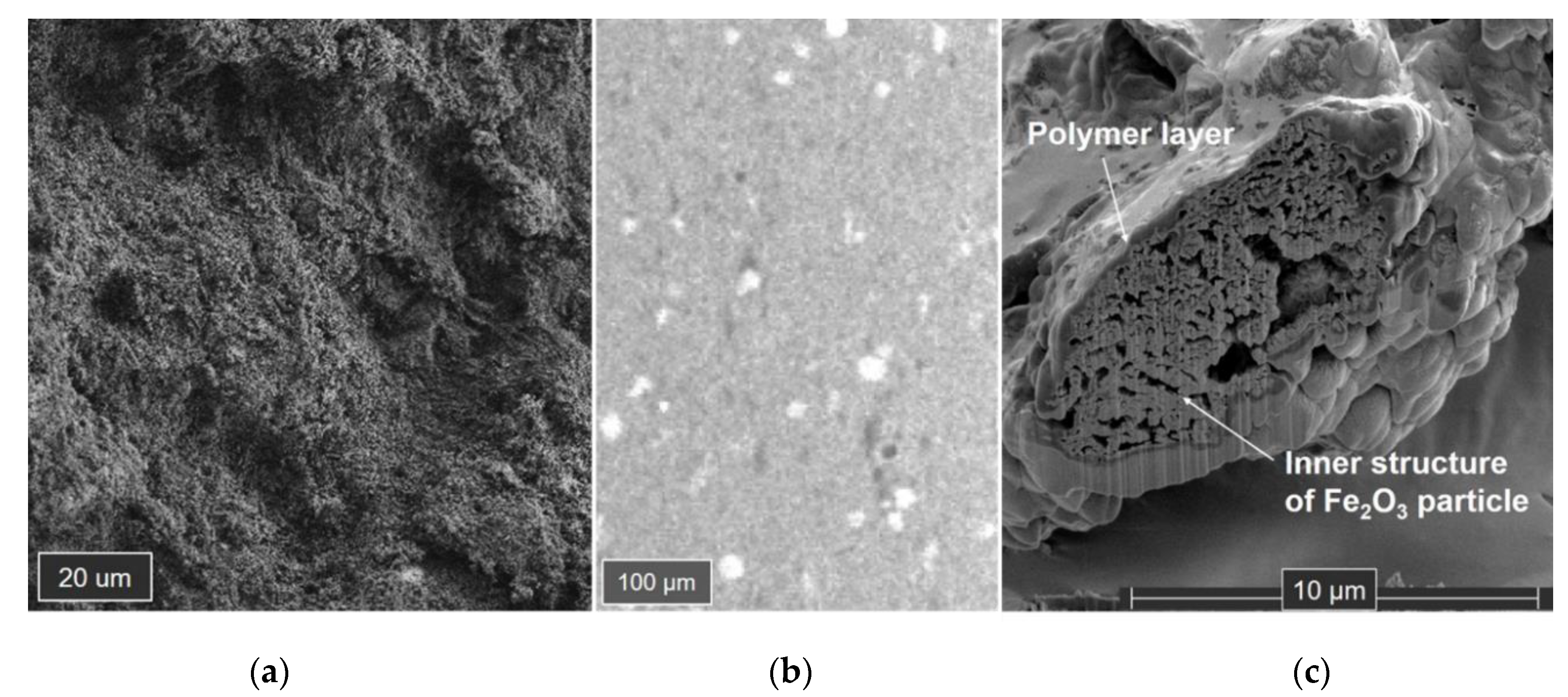 Processes 08 00521 g007