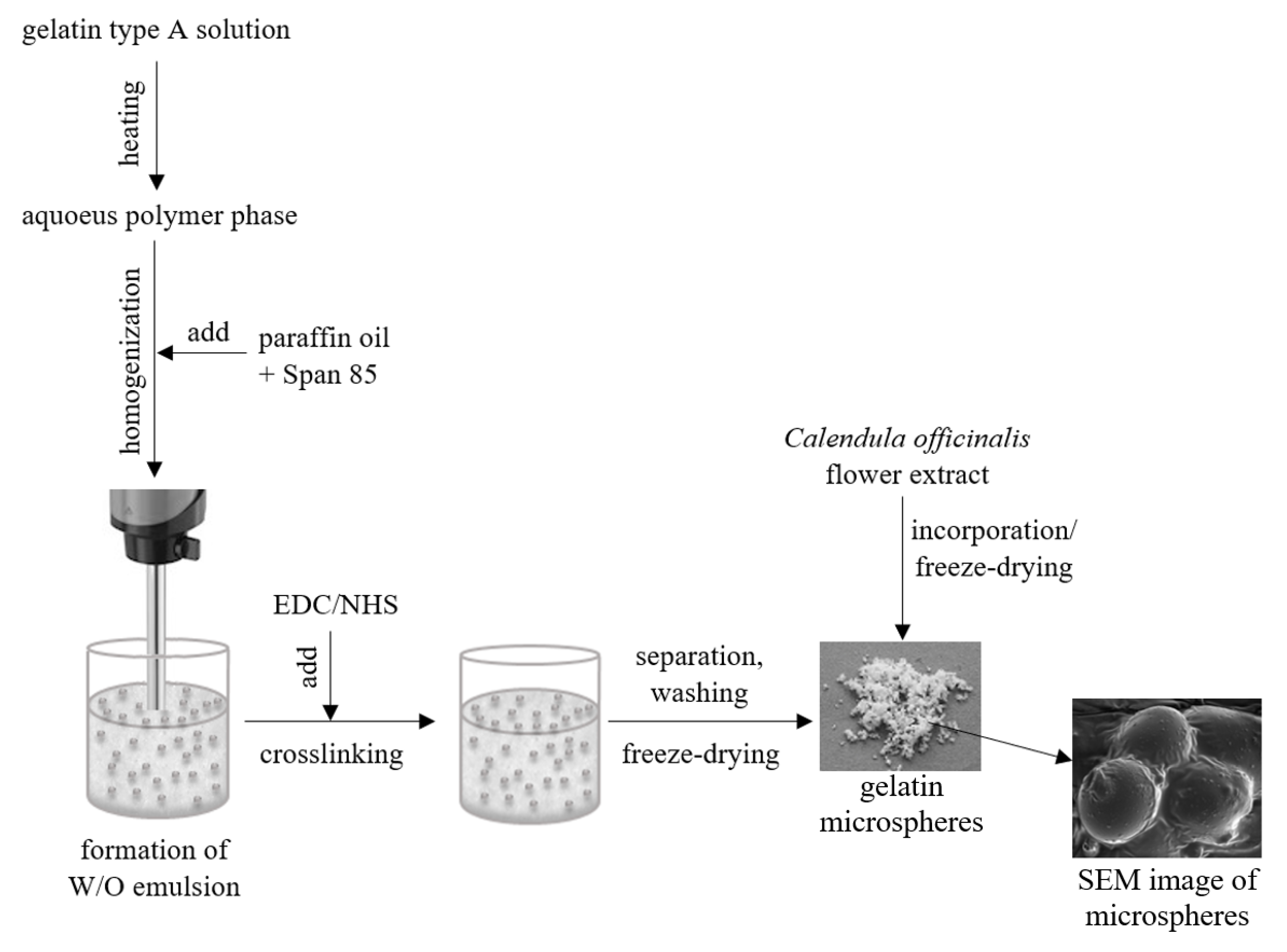 Processes 08 00530 g001 Processes 08 00530 g001