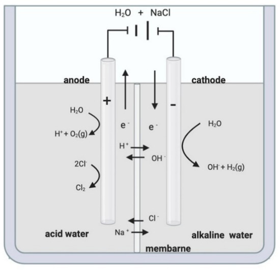 Processes Free Full Text Applications Of Electrolyzed Water As A Sanitizer In The Food And Animal By Products Industry Html