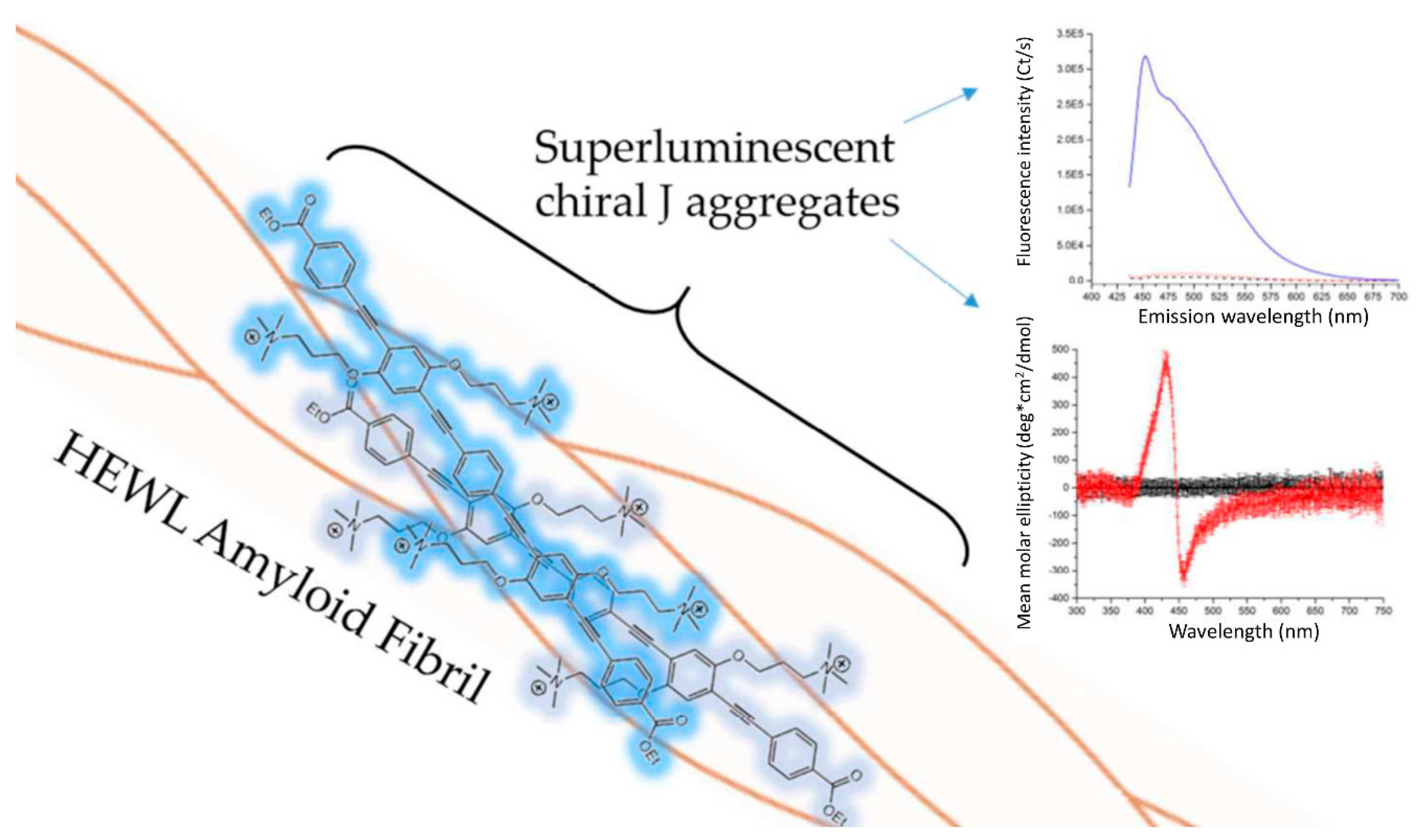 Processes 08 00539 g005