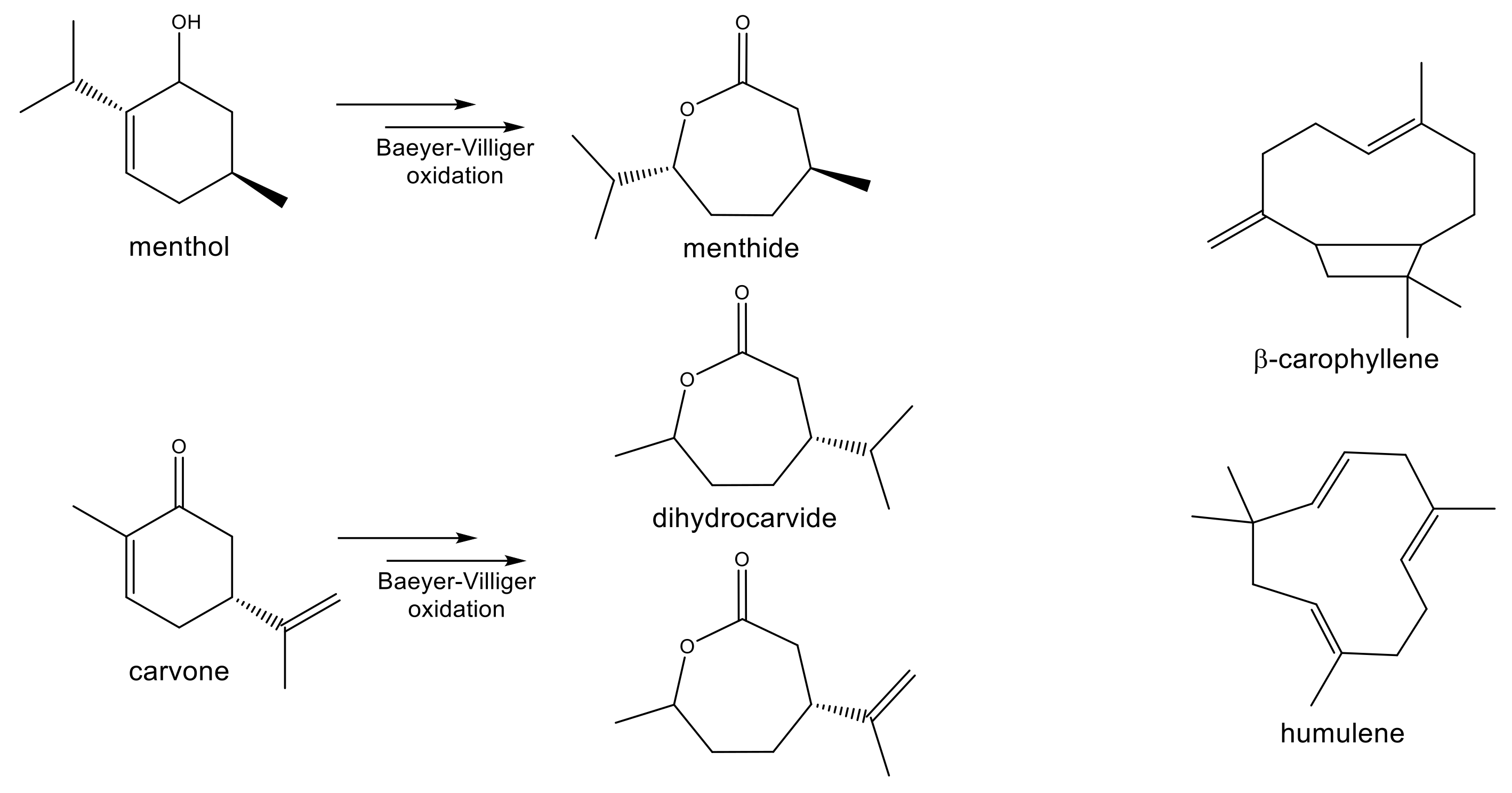 Processes 08 00553 g004