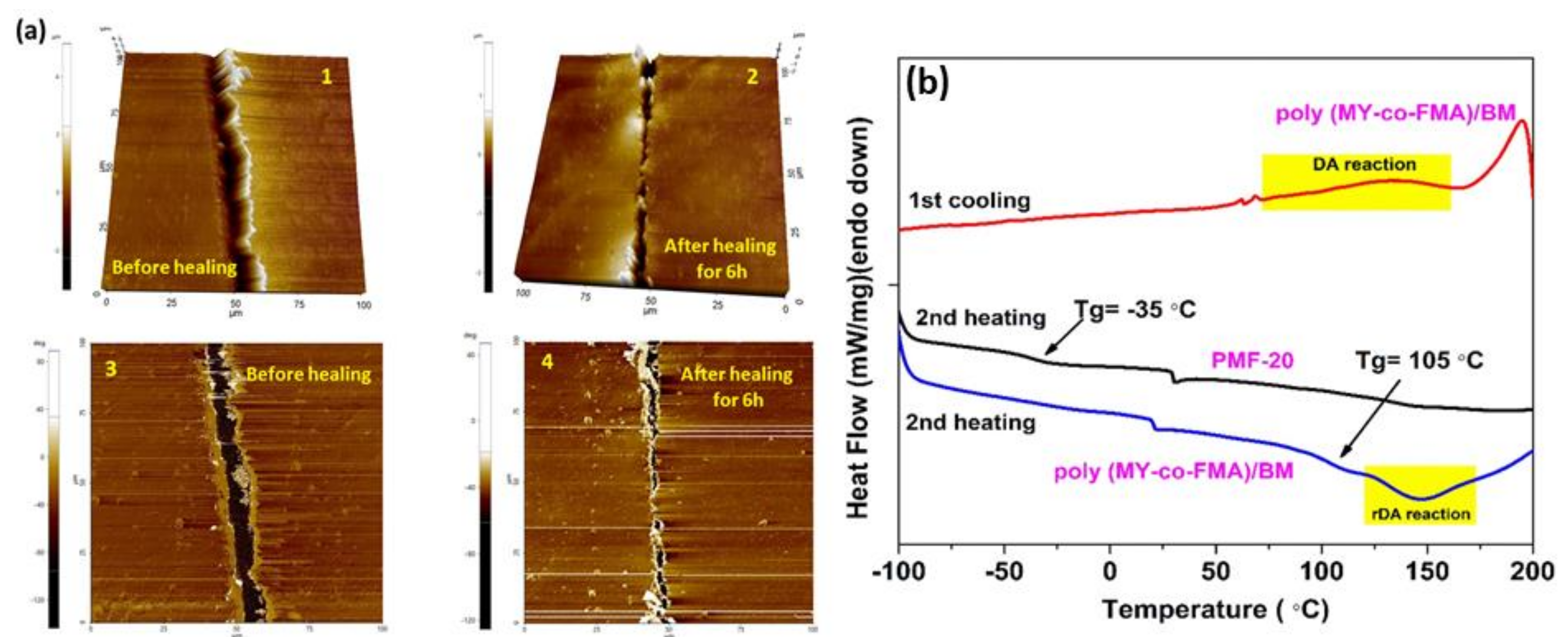 Processes 08 00553 g010