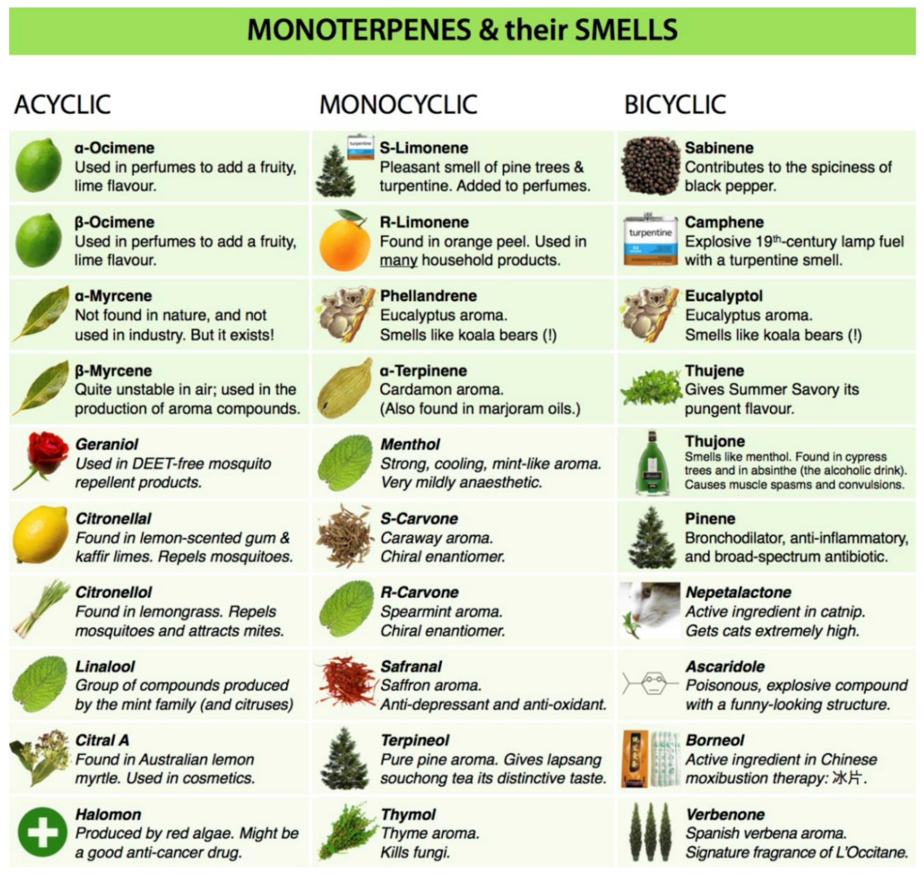 Processes 08 00553 g014
