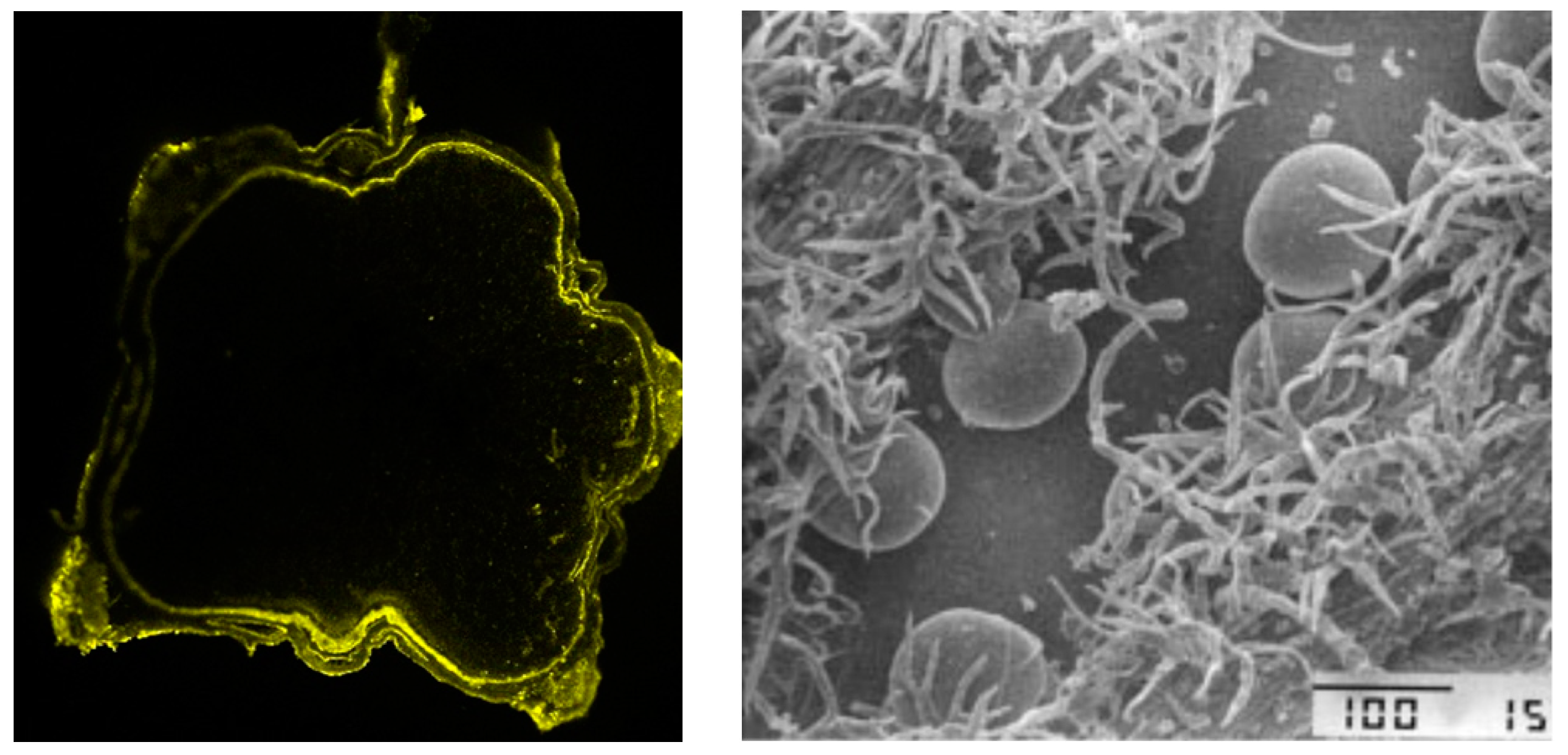 Processes 08 00594 g004