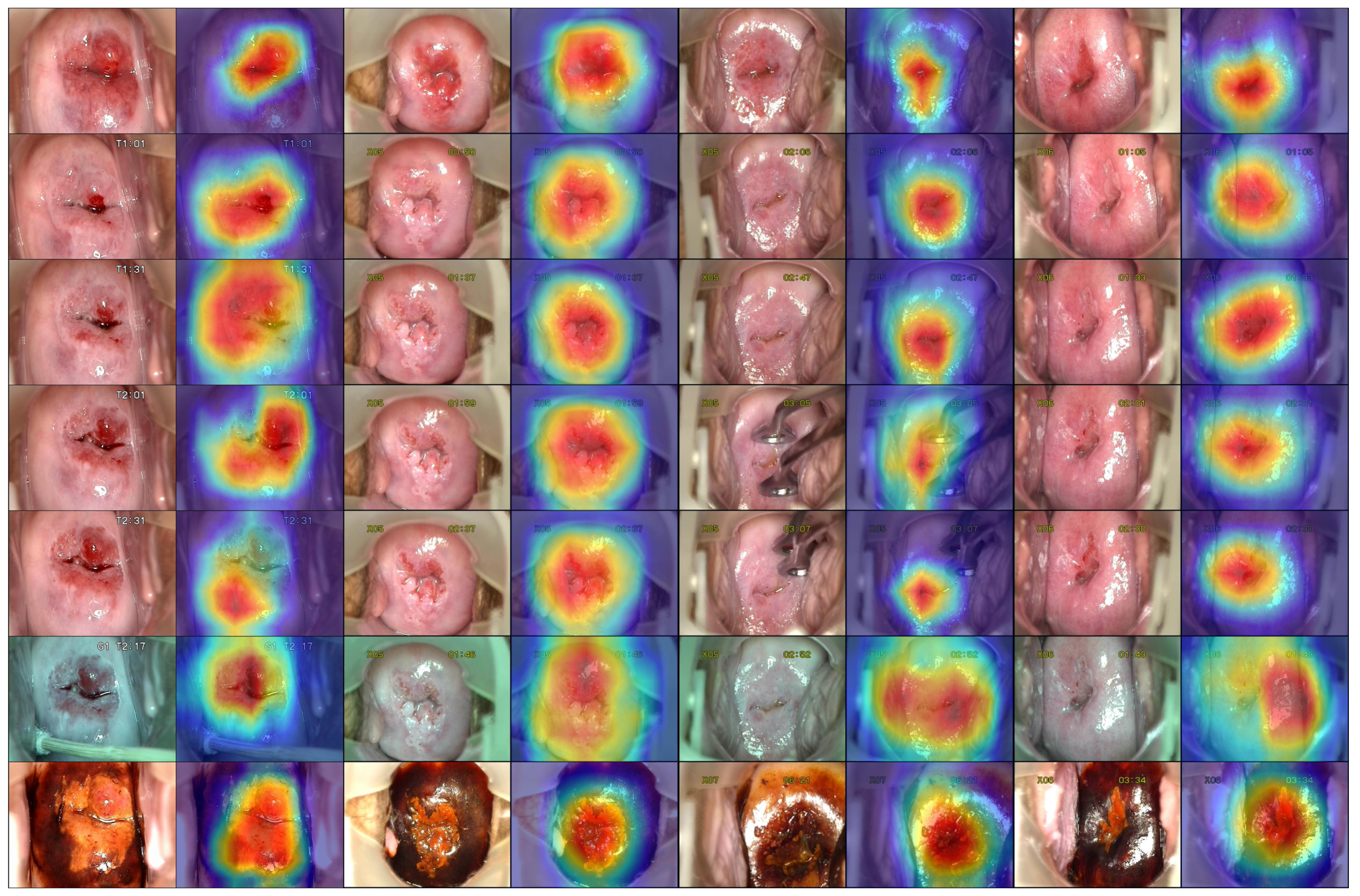 Processes 08 00595 g010