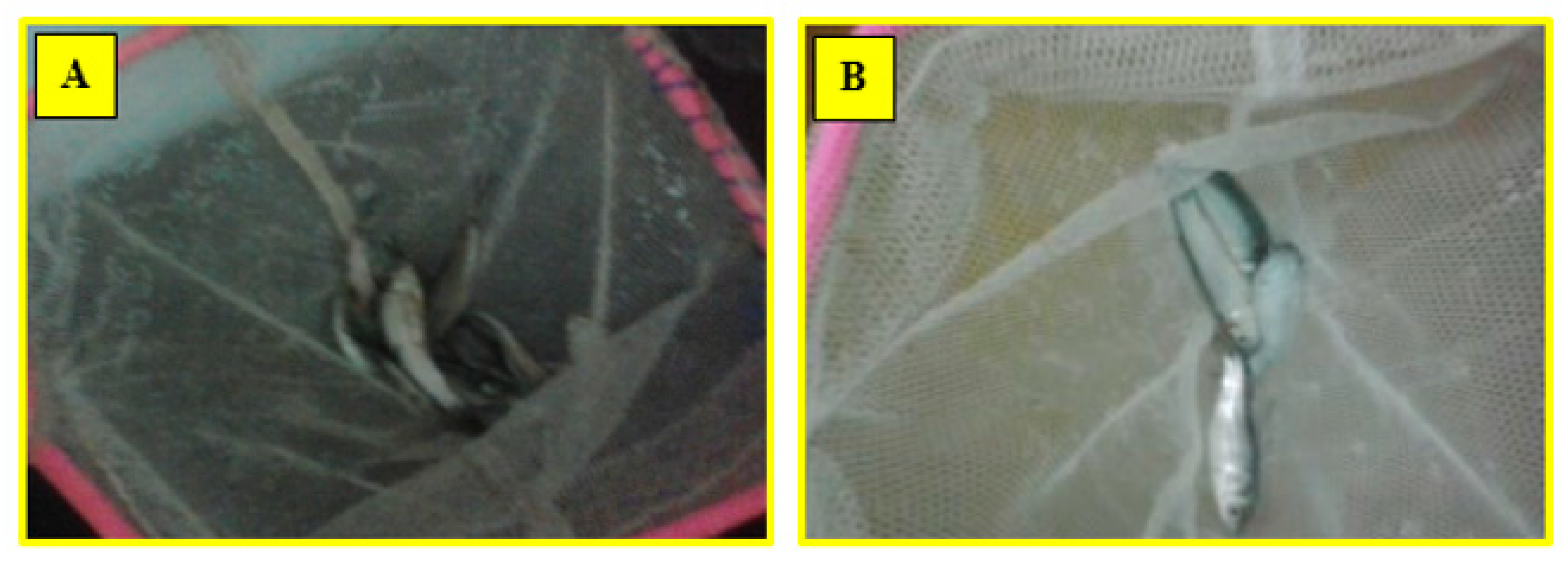 Processes 08 00612 g005