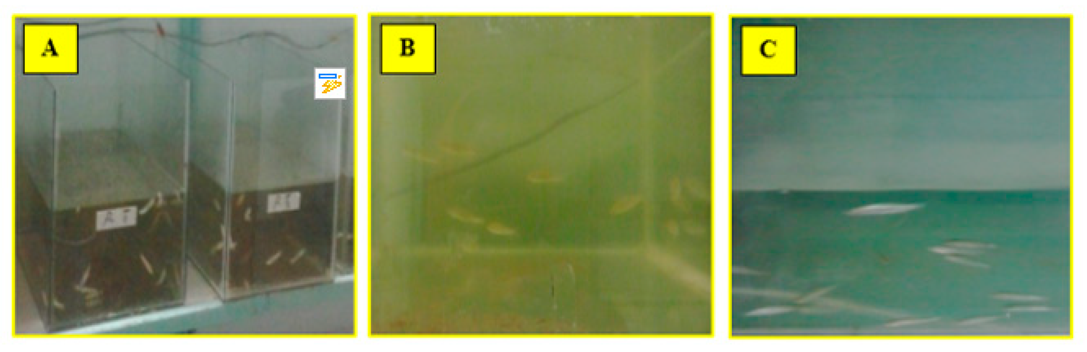 Processes 08 00612 g006