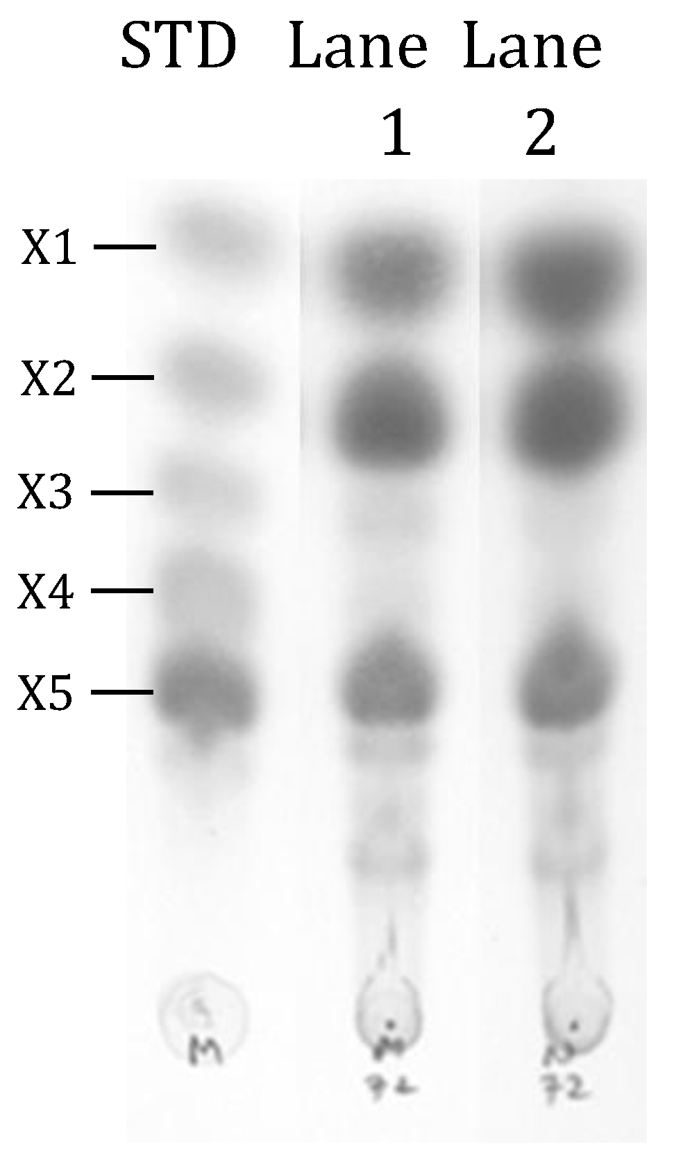 Processes 08 00619 g001