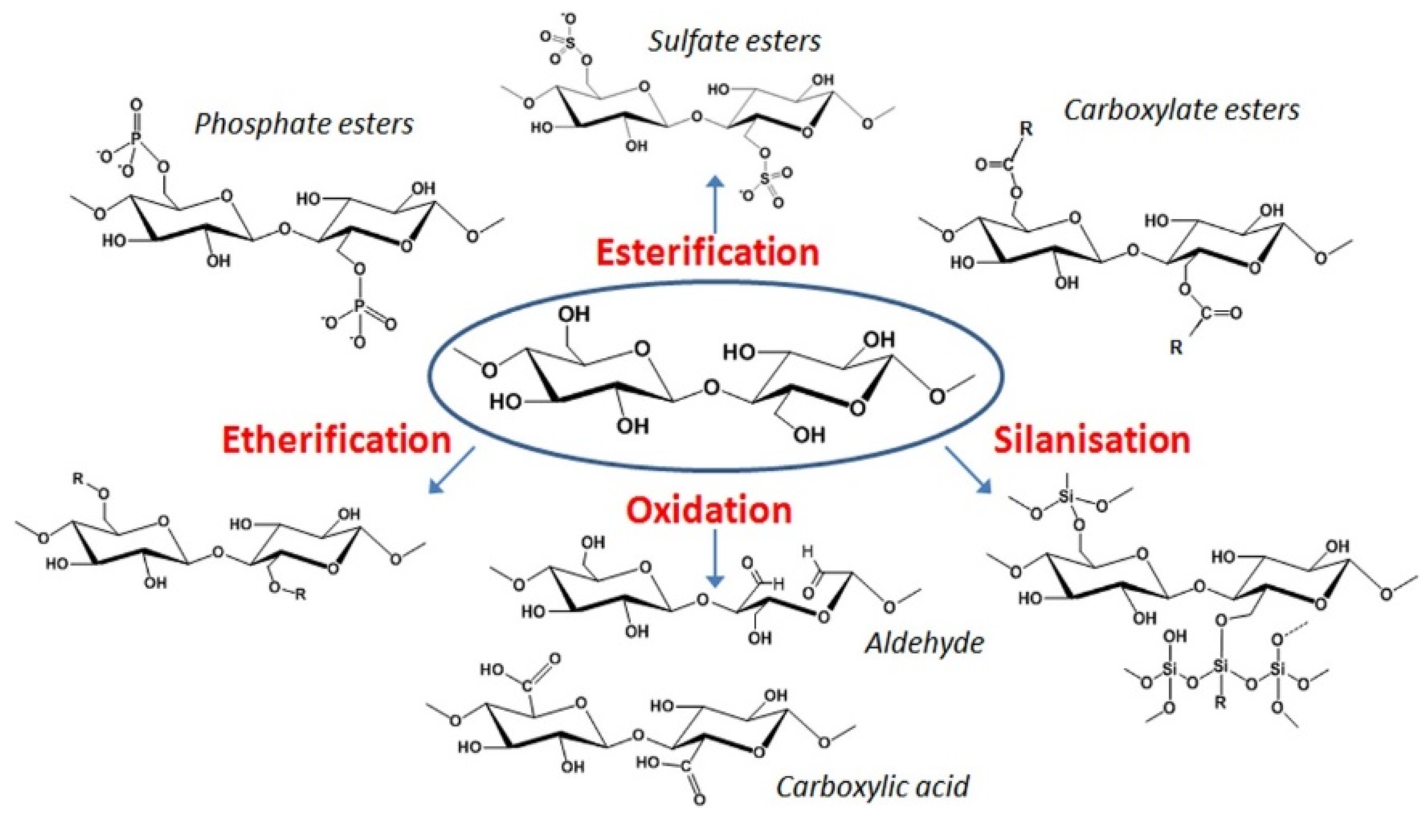 Processes 08 00624 g004 Processes 08 00624 g004