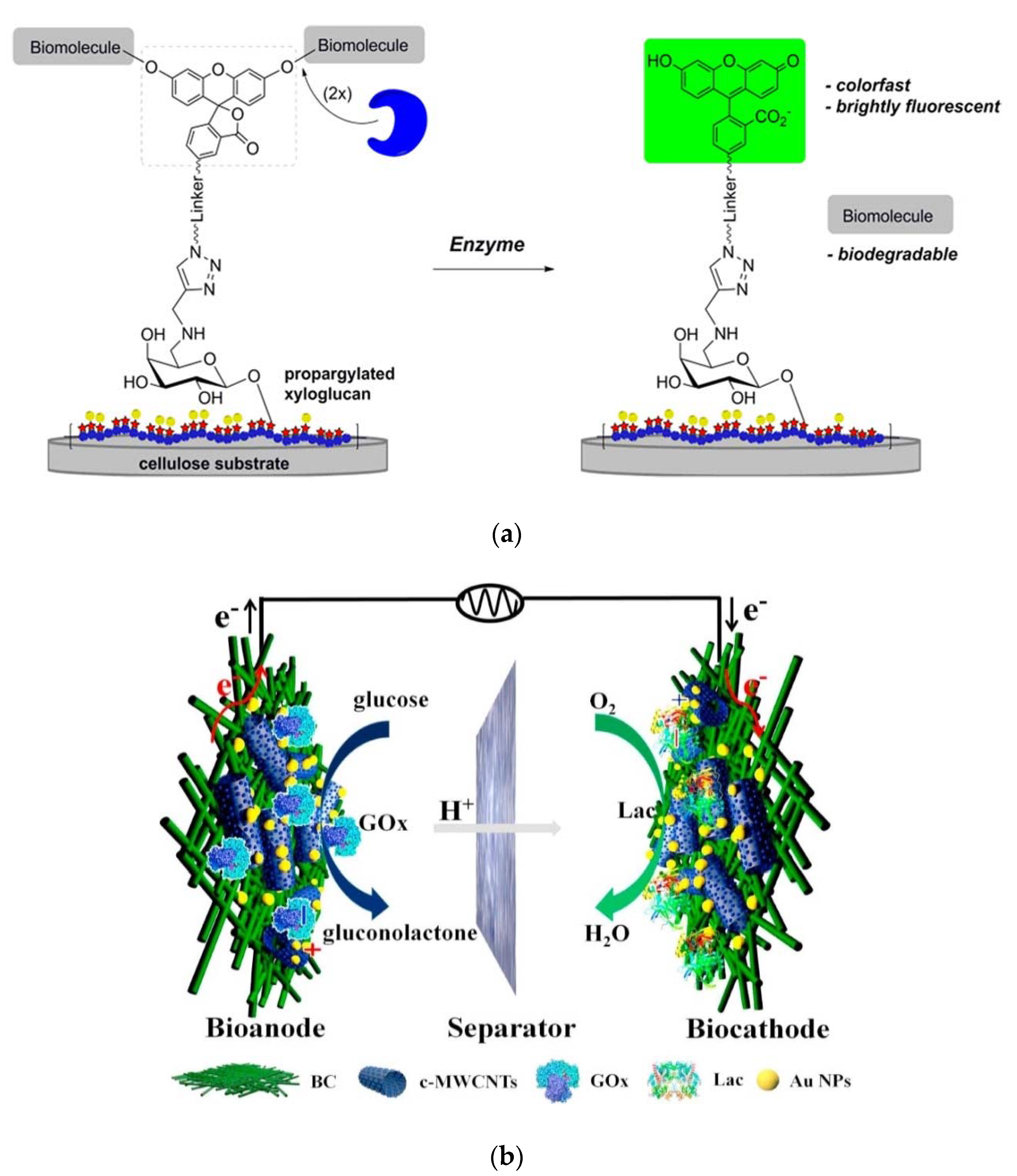 Processes 08 00624 g007 Processes 08 00624 g007