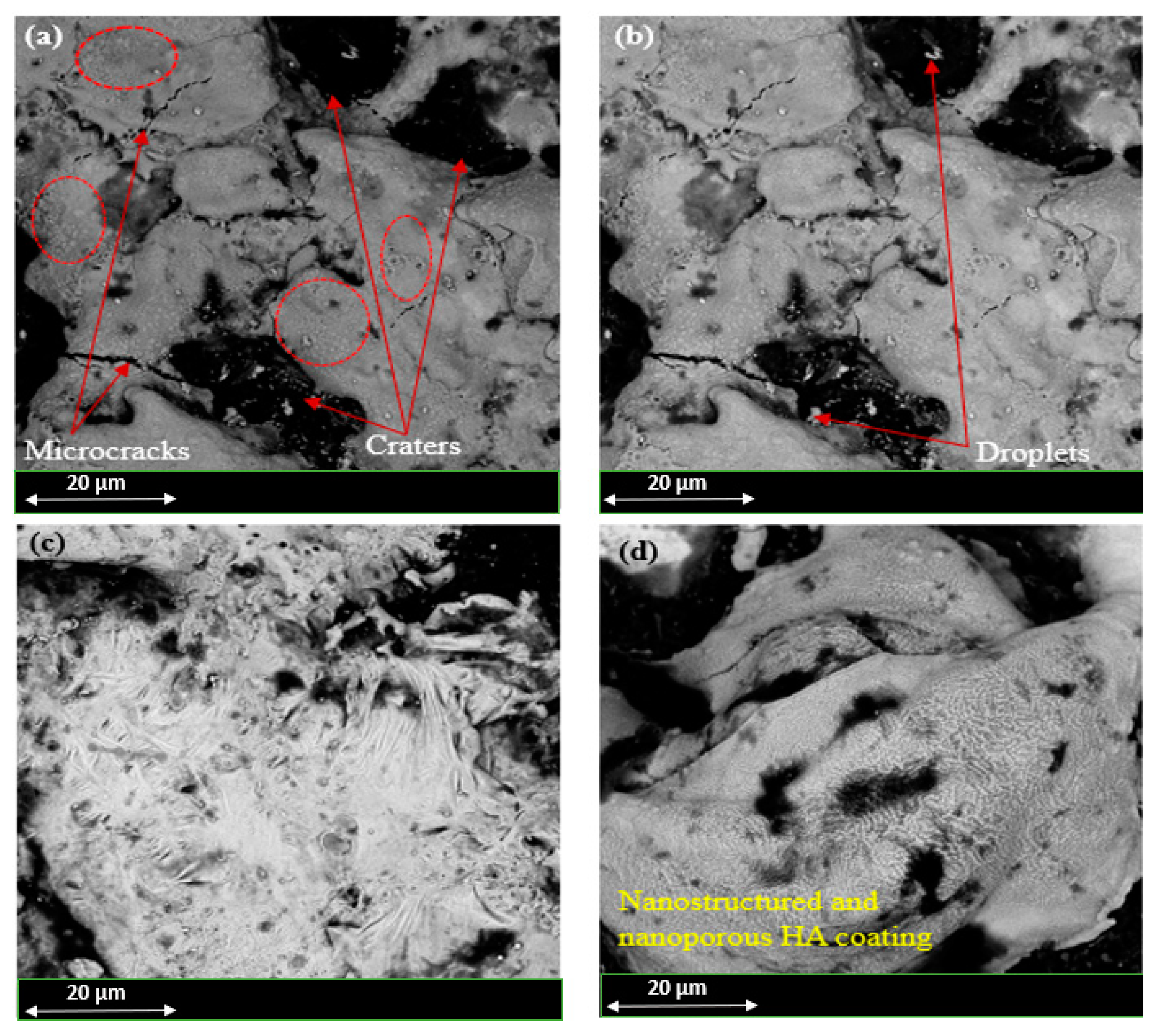Processes 08 00635 g007 Processes 08 00635 g007