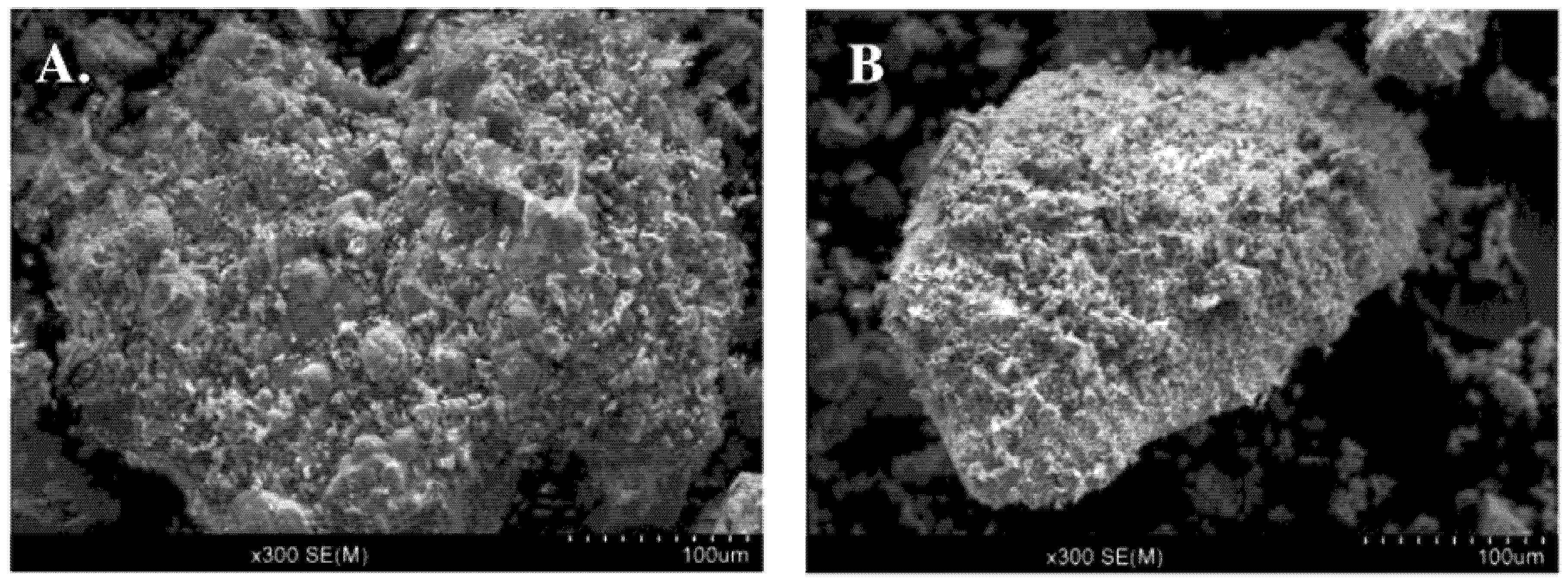 Processes 08 00636 g002