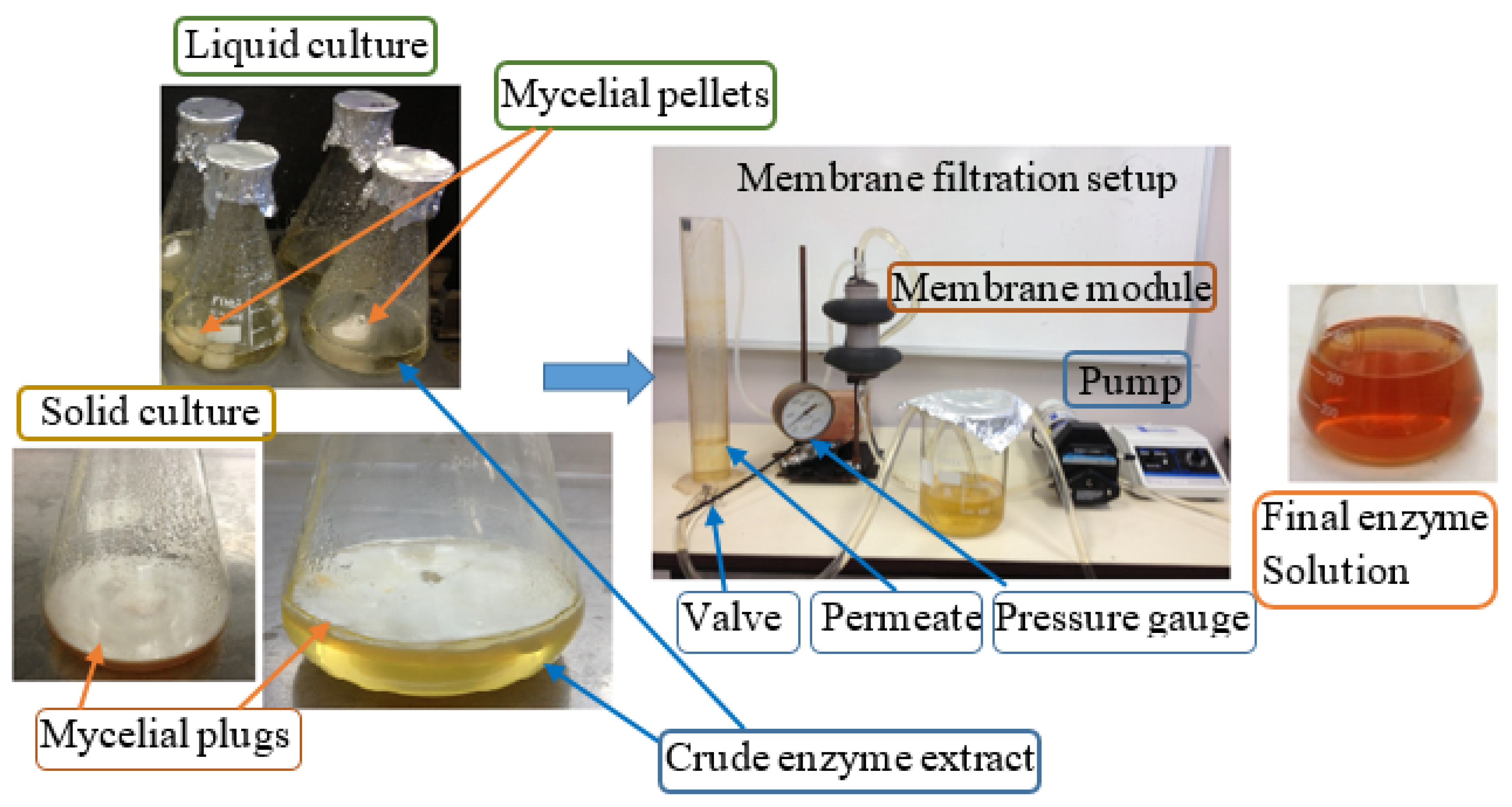 Processes 08 00648 g001 Processes 08 00648 g001