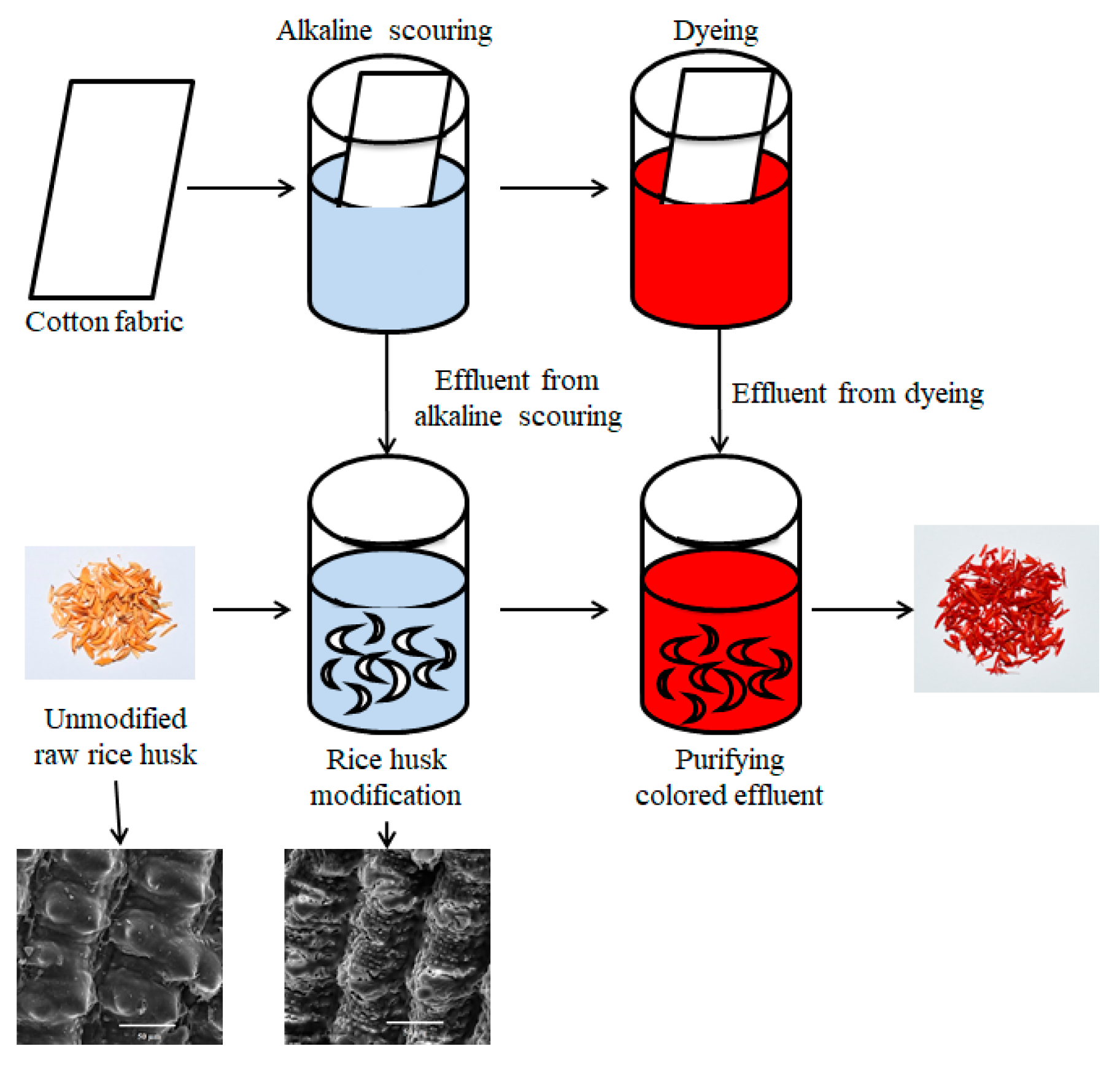 Processes 08 00653 g002
