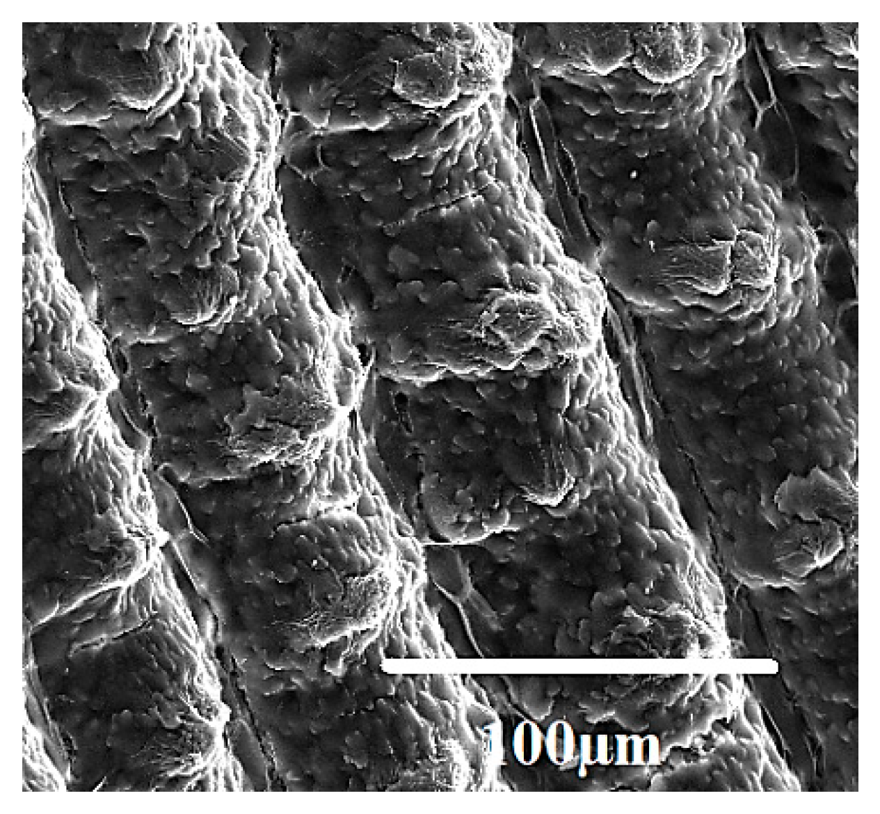 Processes 08 00653 g012