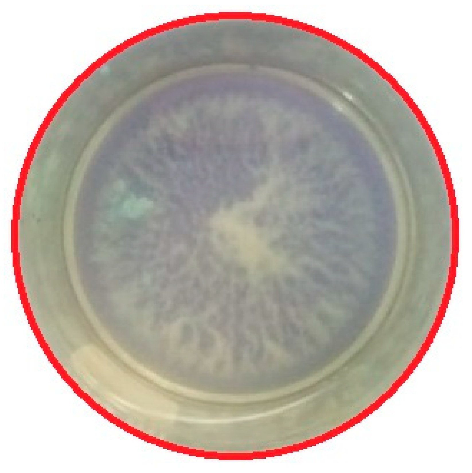 Processes 08 00667 g009