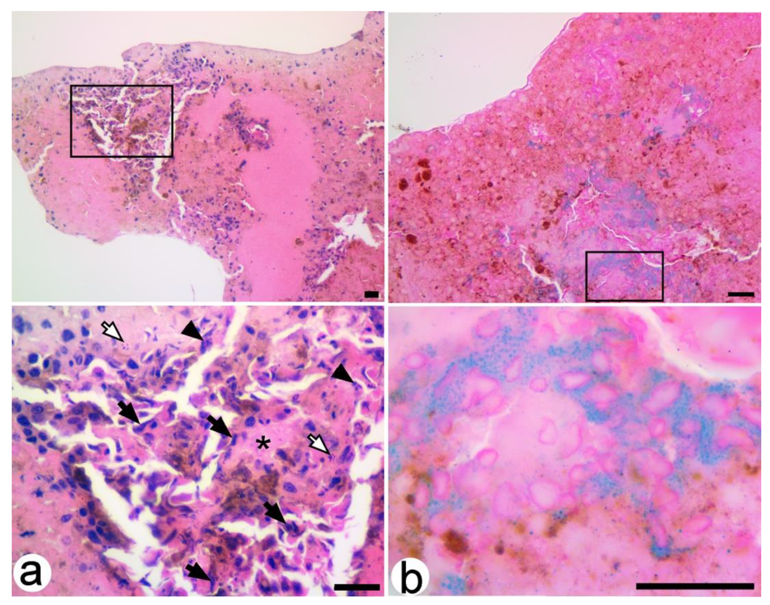 Processes 08 00706 g004