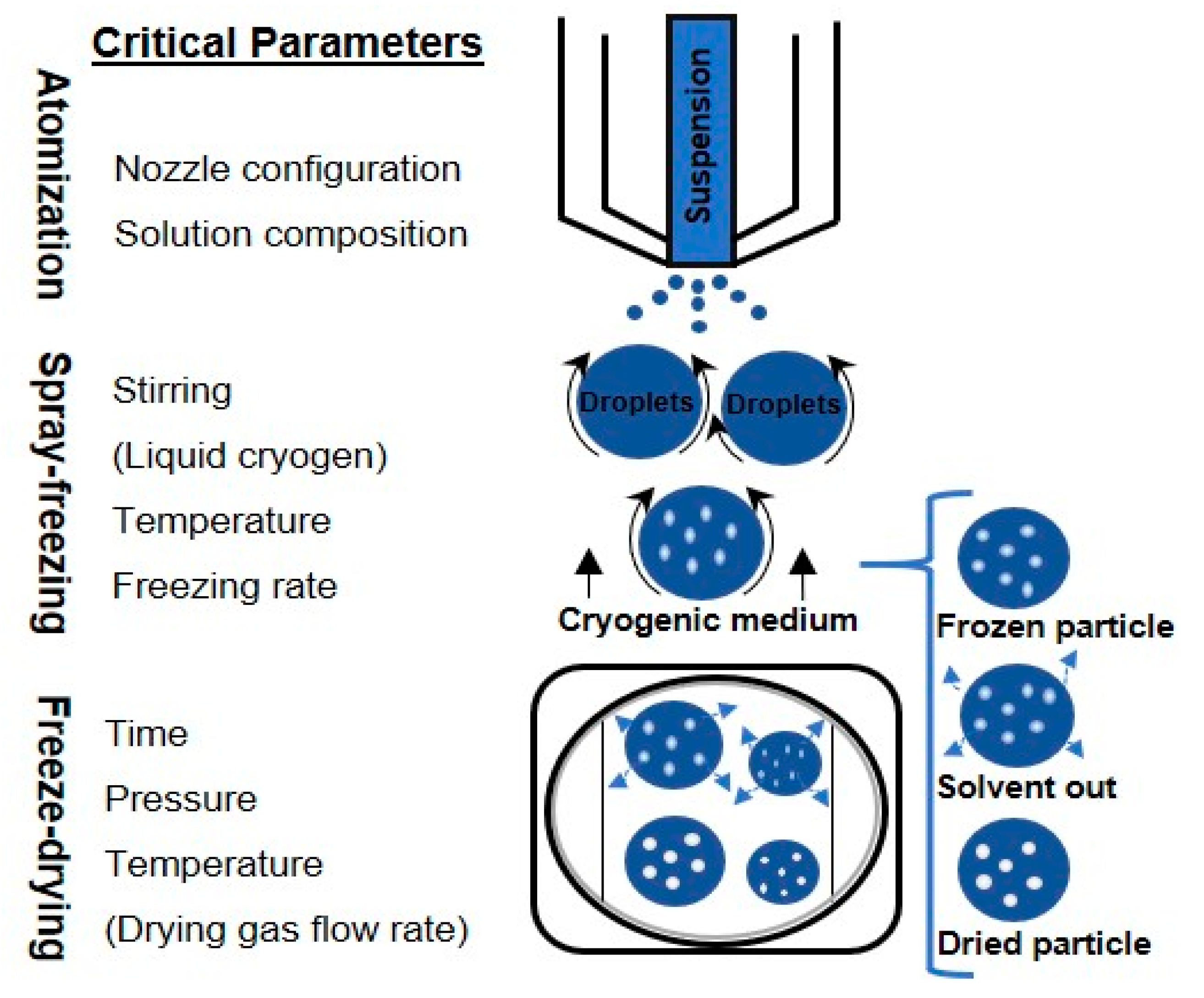 How to freeze dry food by lyophilizer? Freeze drying process