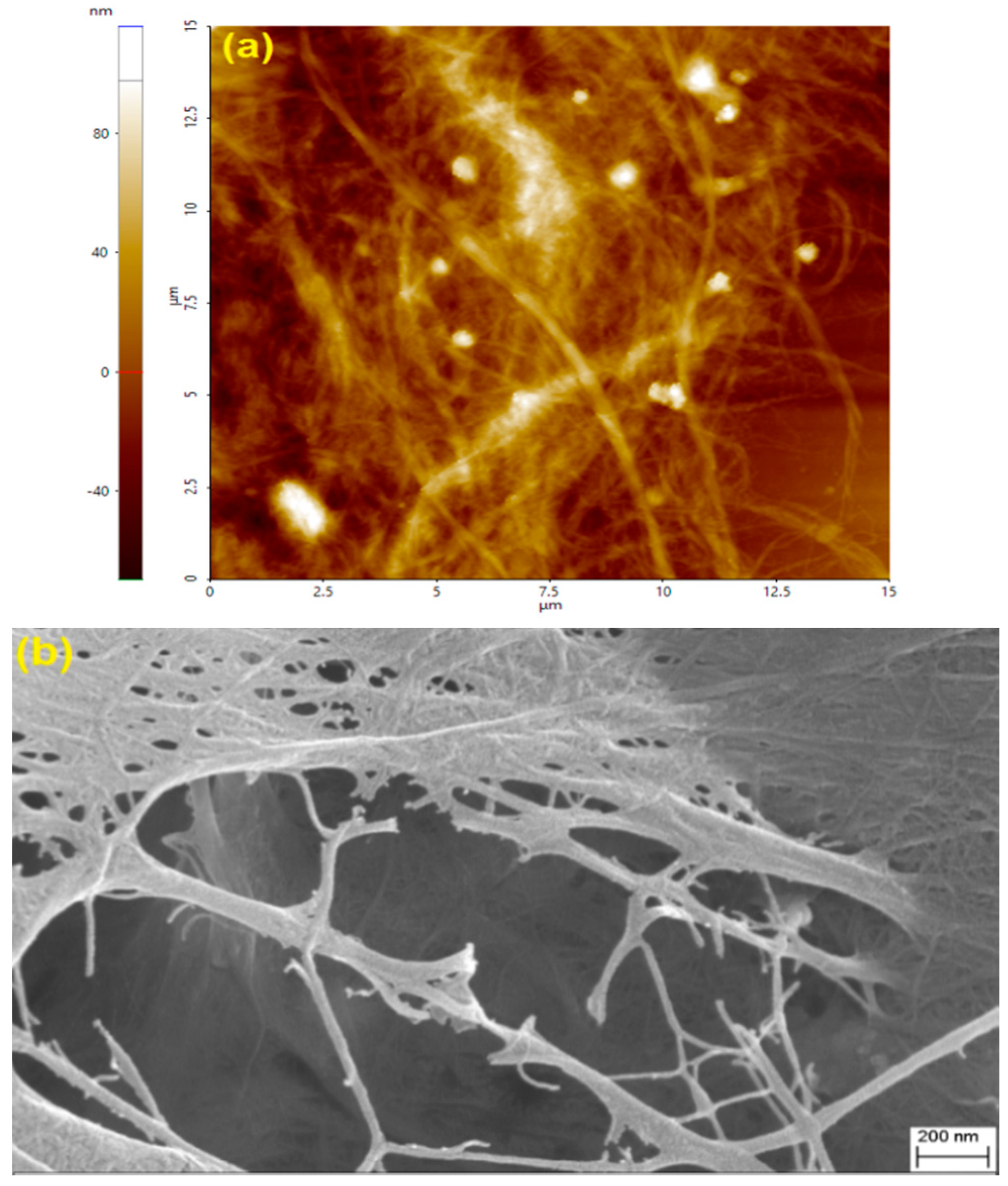 Processes 08 00726 g003
