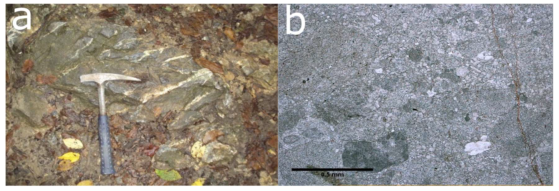 Processes 08 00755 g004 Processes 08 00755 g004