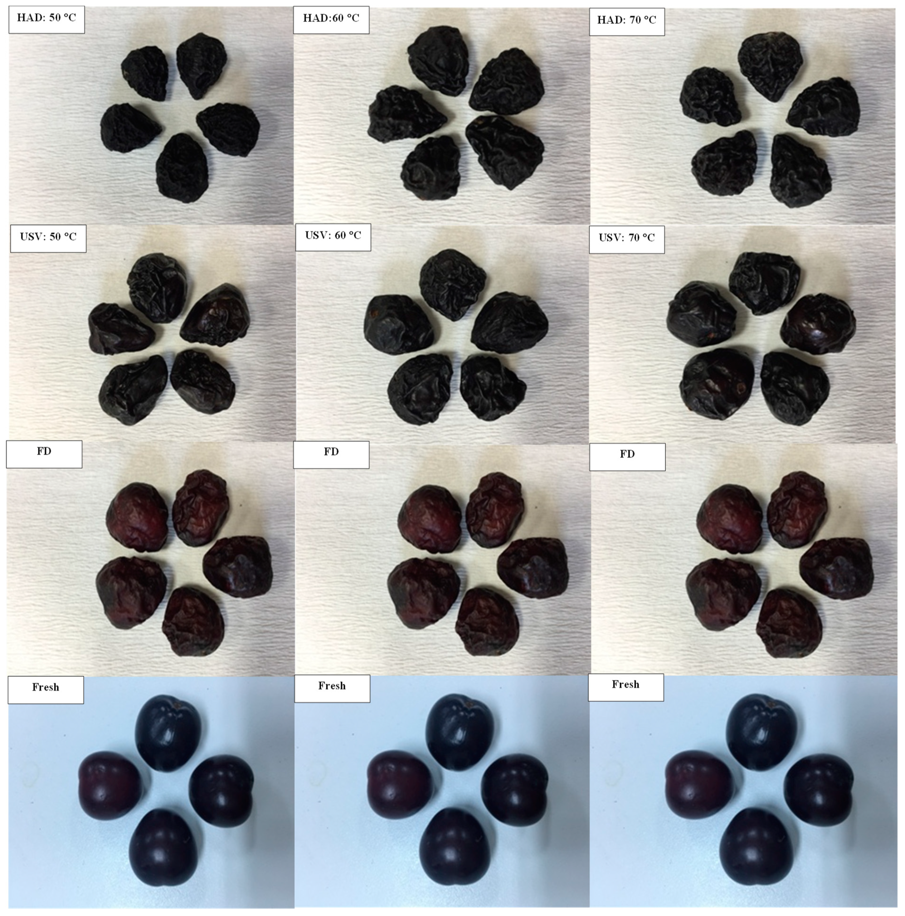 Processes 08 00761 g003 Processes 08 00761 g003