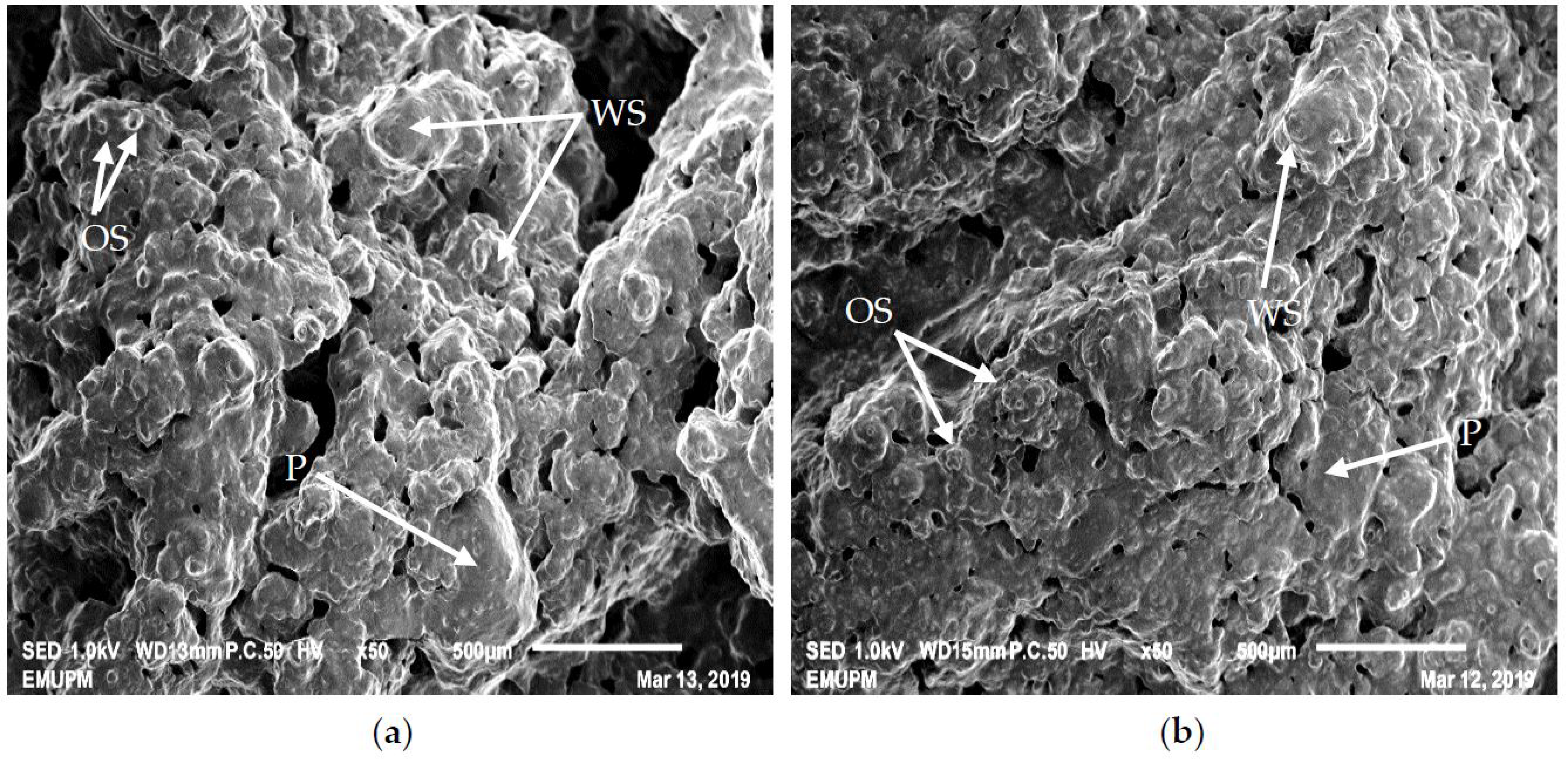 Processes 08 00797 g005 Processes 08 00797 g005