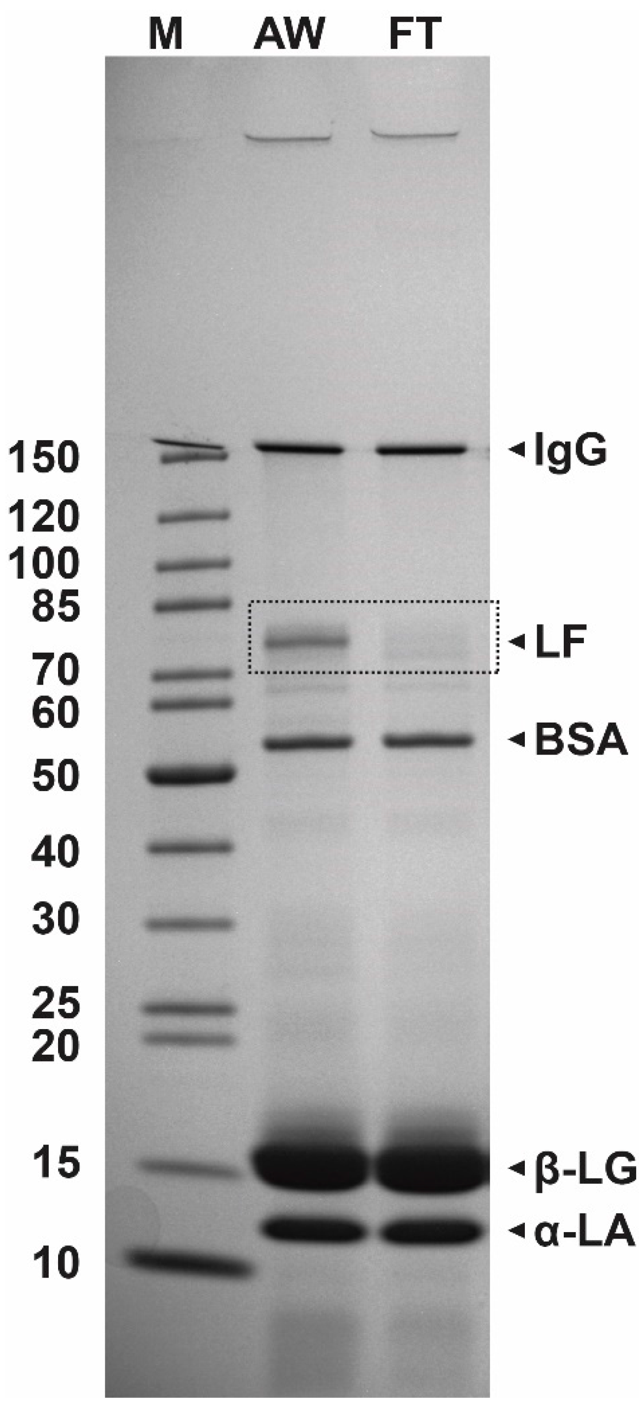 Processes 08 00804 g002 Processes 08 00804 g002