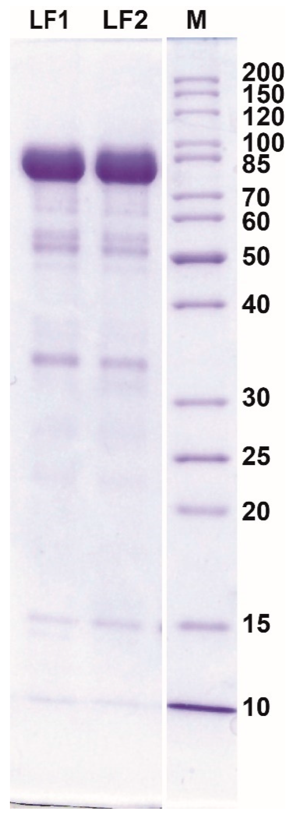 Processes 08 00804 g004 Processes 08 00804 g004