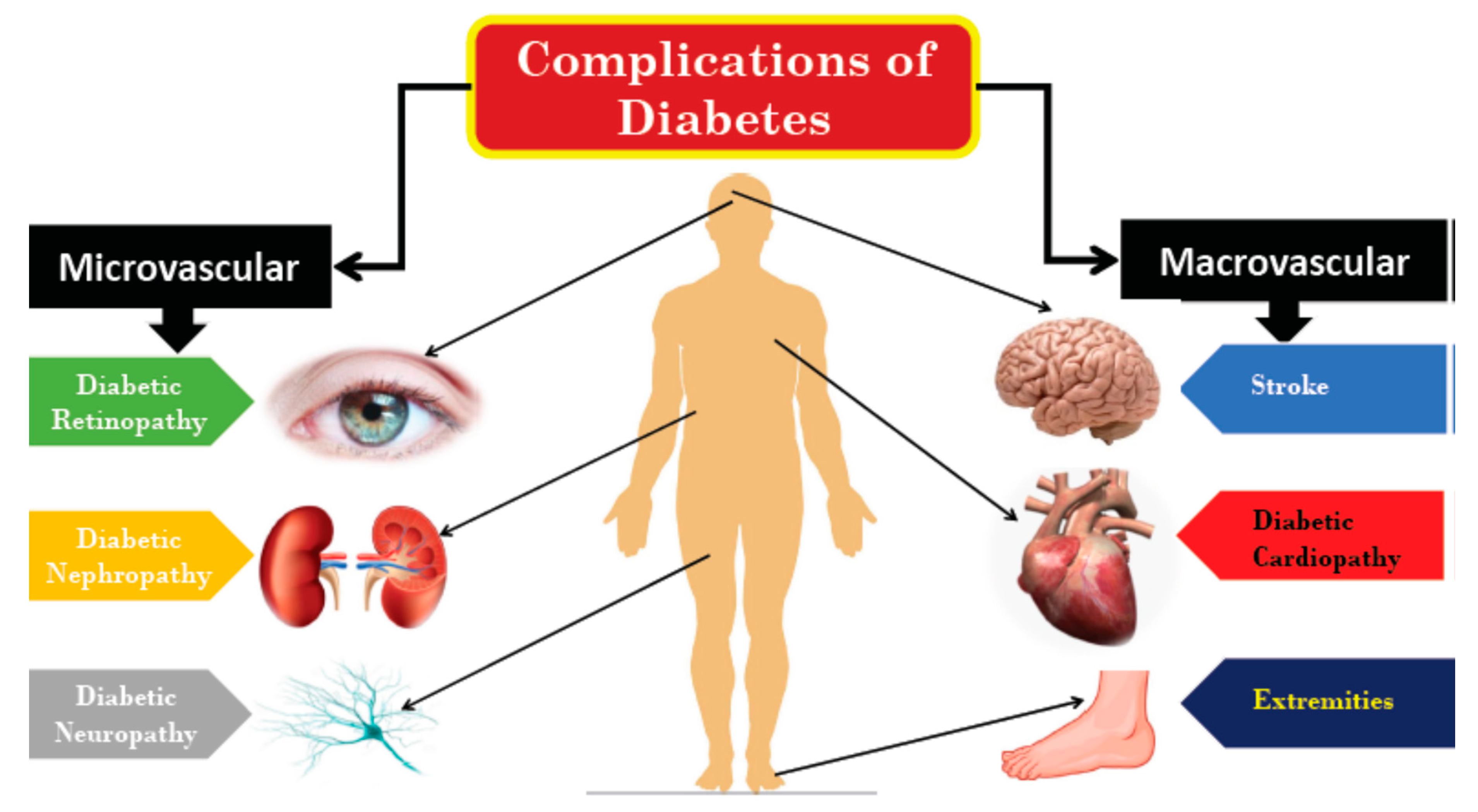 nephropathy kezelés során a diabetes