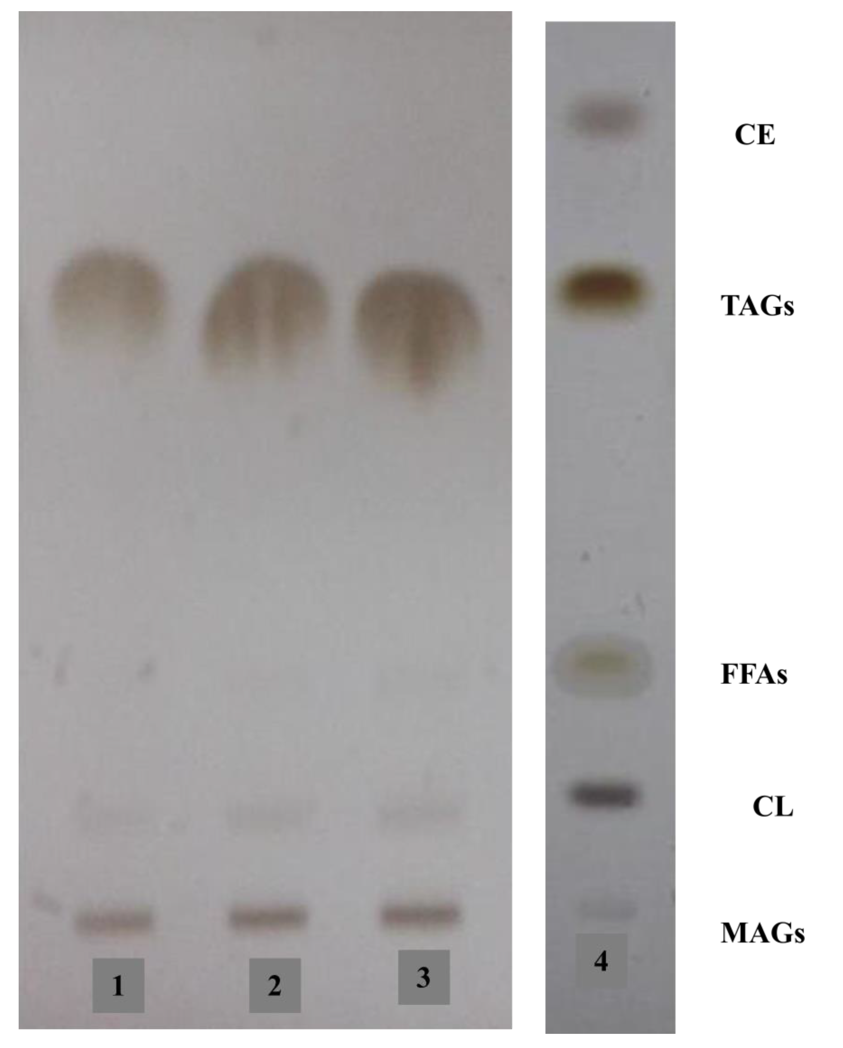 Processes 08 00819 g005 Processes 08 00819 g005