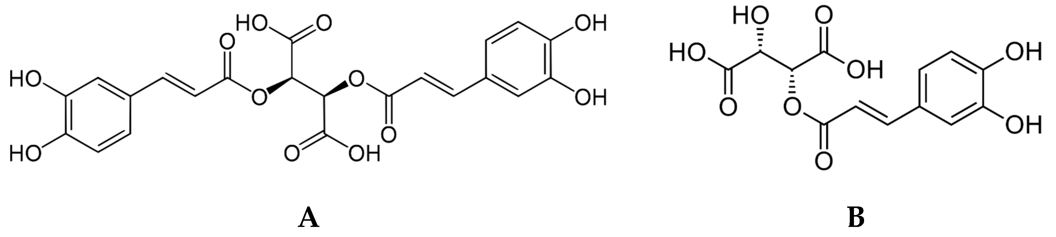 Processes 08 00833 g001