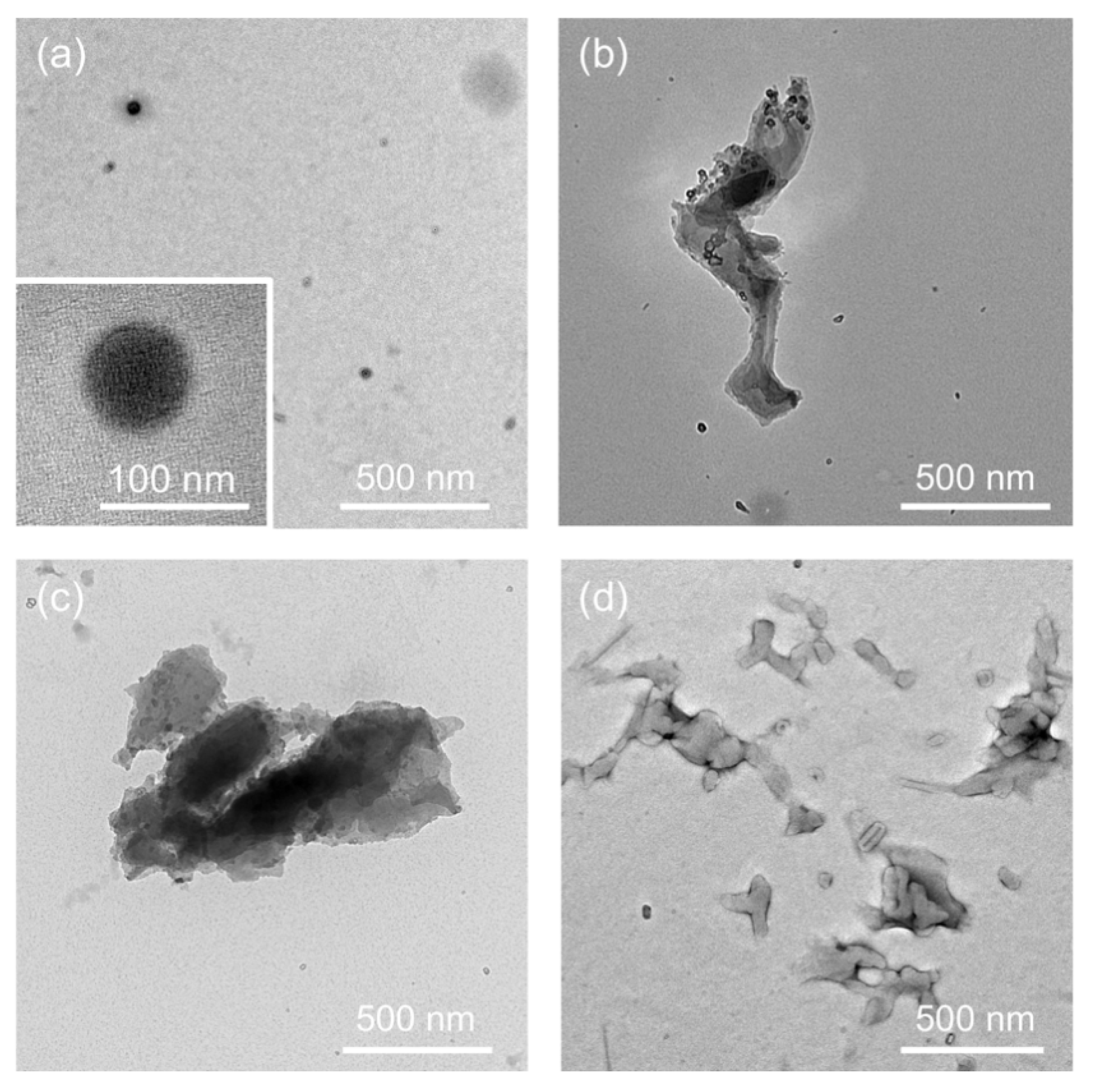 Processes 08 00859 g002 Processes 08 00859 g002