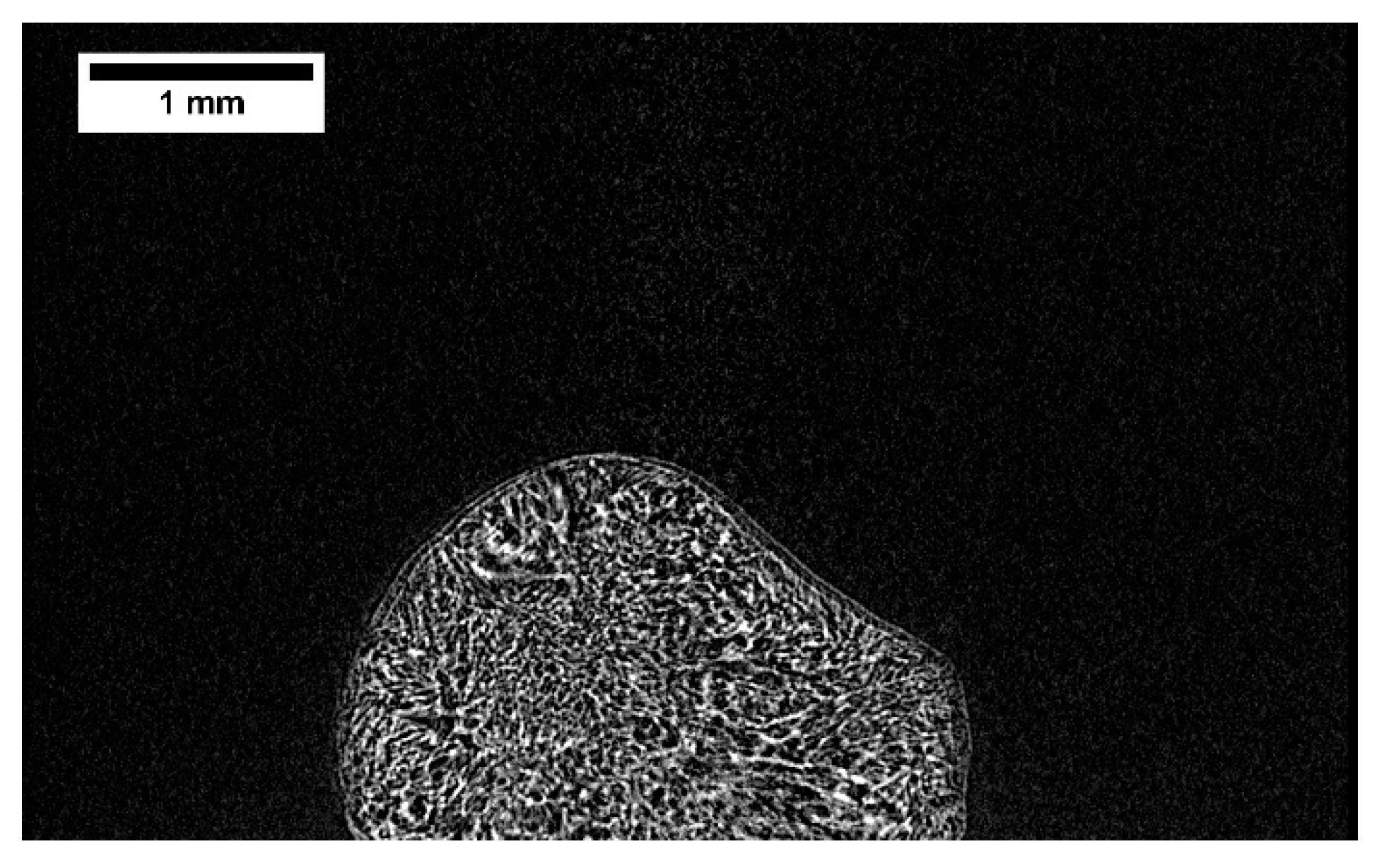 Processes 08 00869 g005 Processes 08 00869 g005