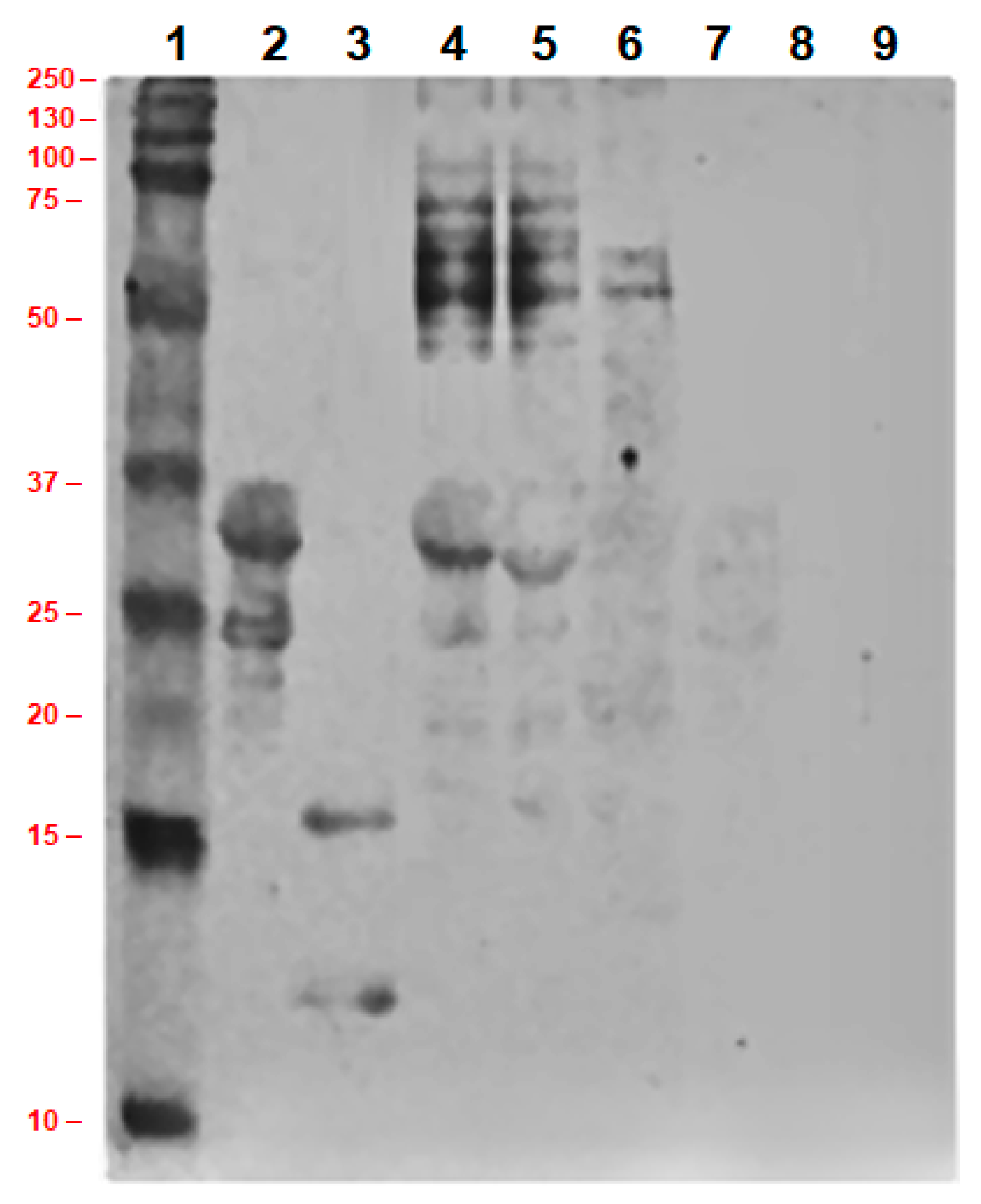 Processes 08 00871 g010 Processes 08 00871 g010