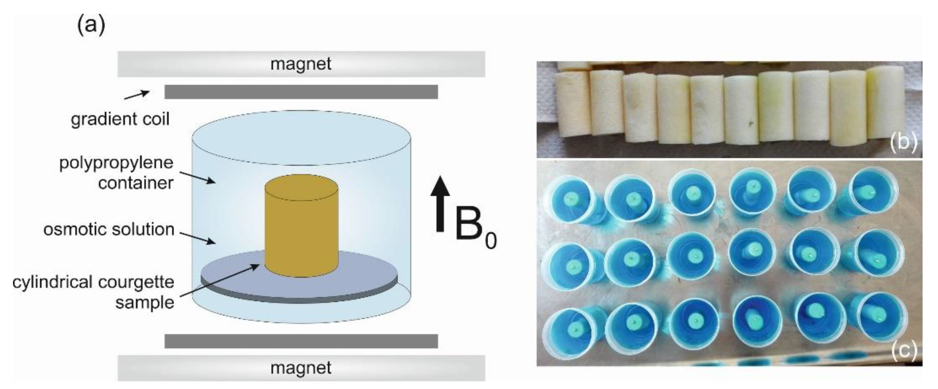 Processes 08 00887 g001