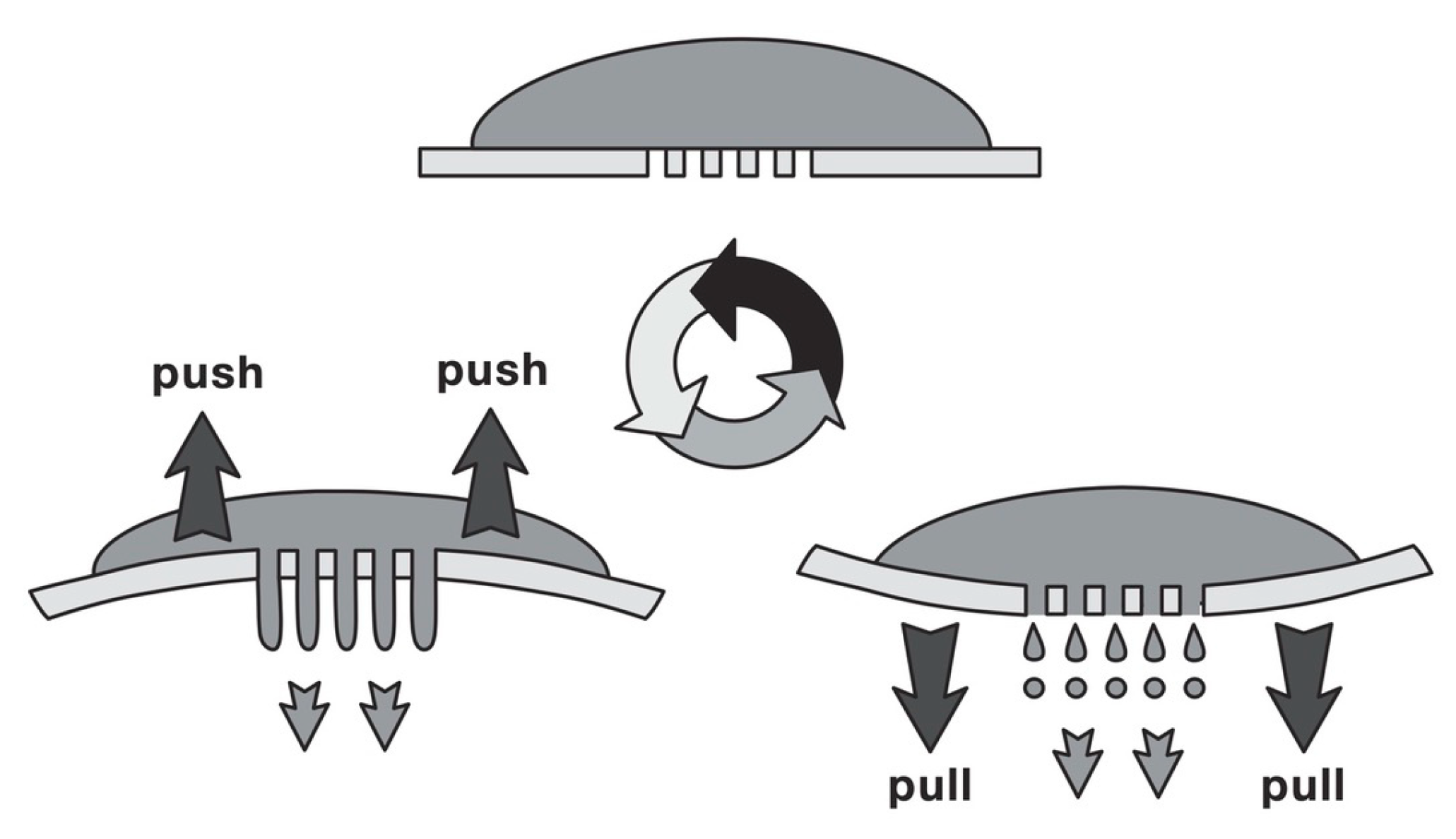 Processes 08 00889 g003