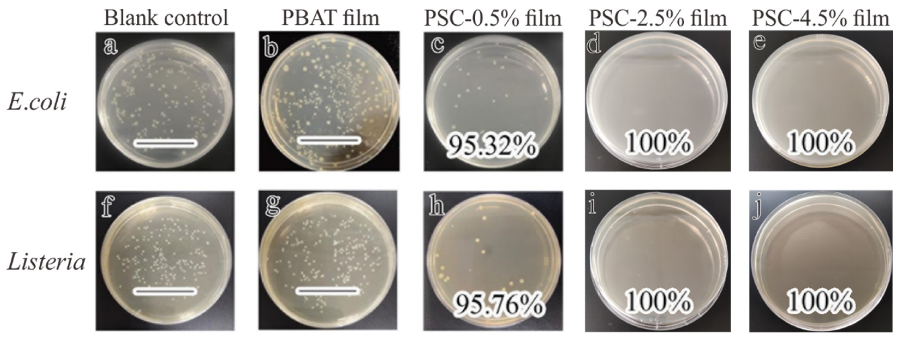 Processes 08 00897 g010